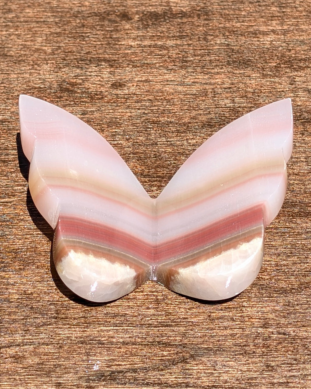 Banded Calcite Butterfly Y