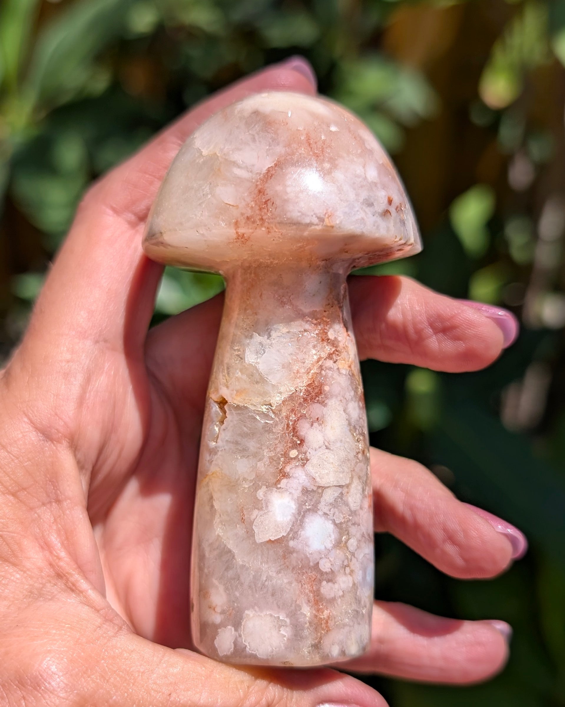 Flower Agate Mushroom G