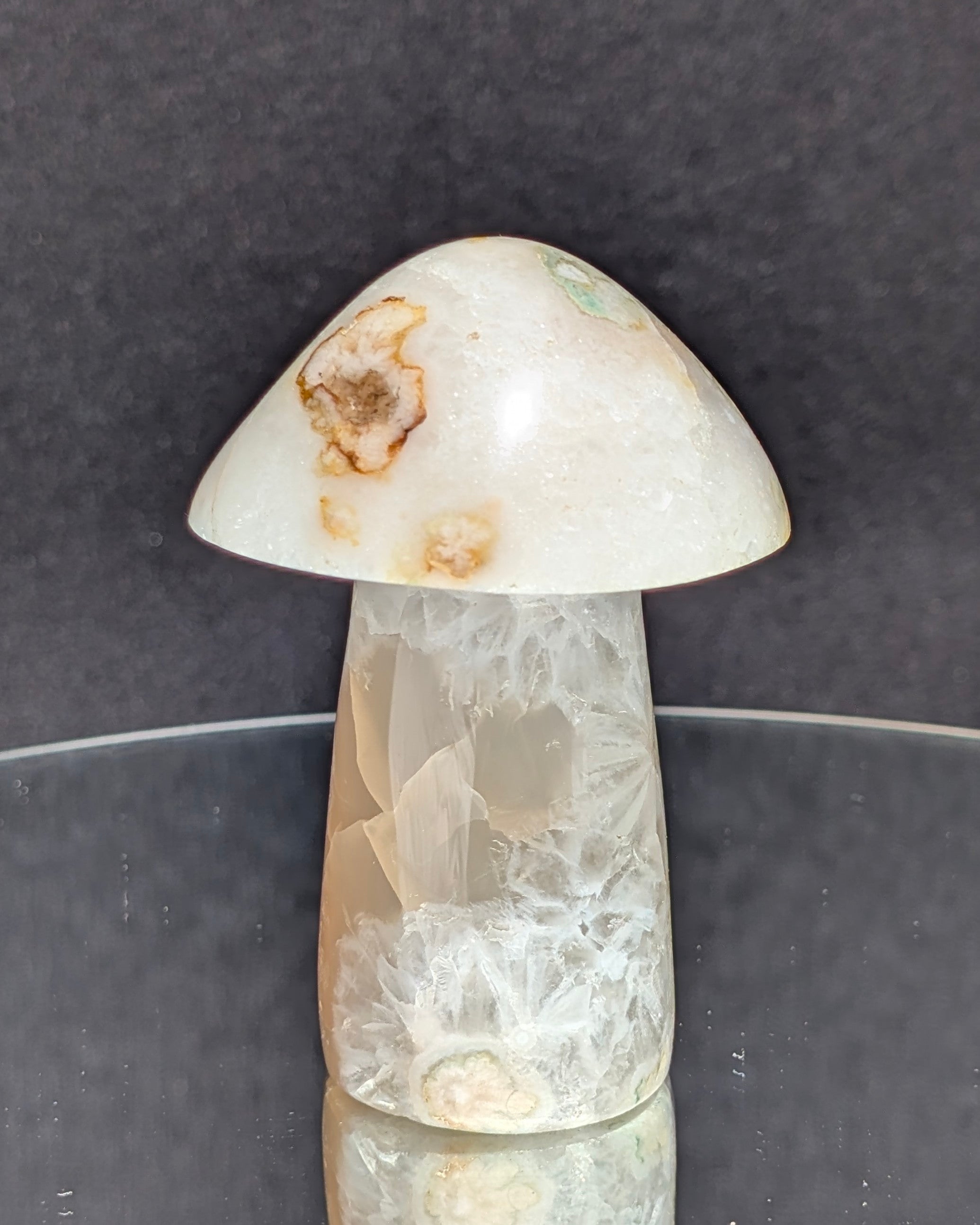 Flower Agate Mushroom E