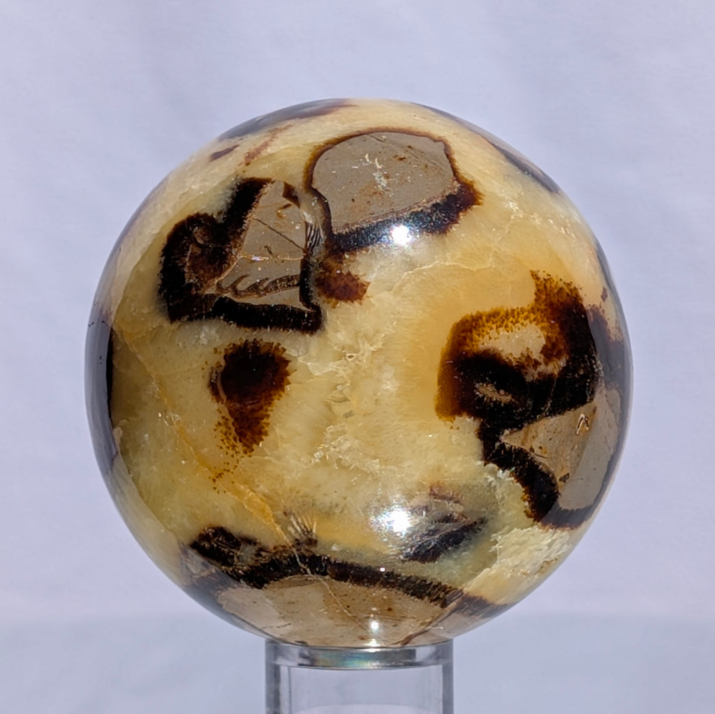 Septarian Dragon Stone Sphere A