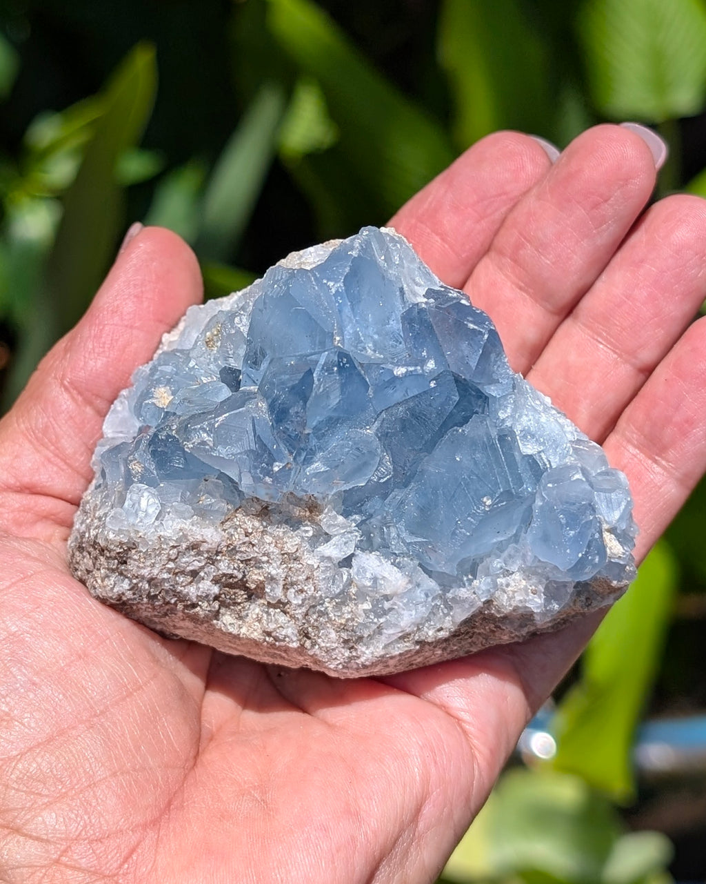 Celestite B