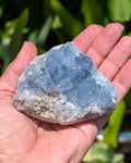 Celestite B