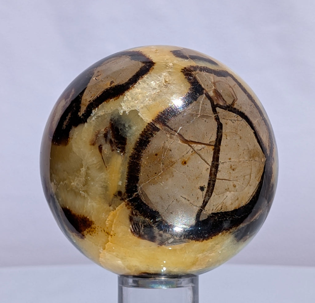 Septarian Dragon Stone Sphere A