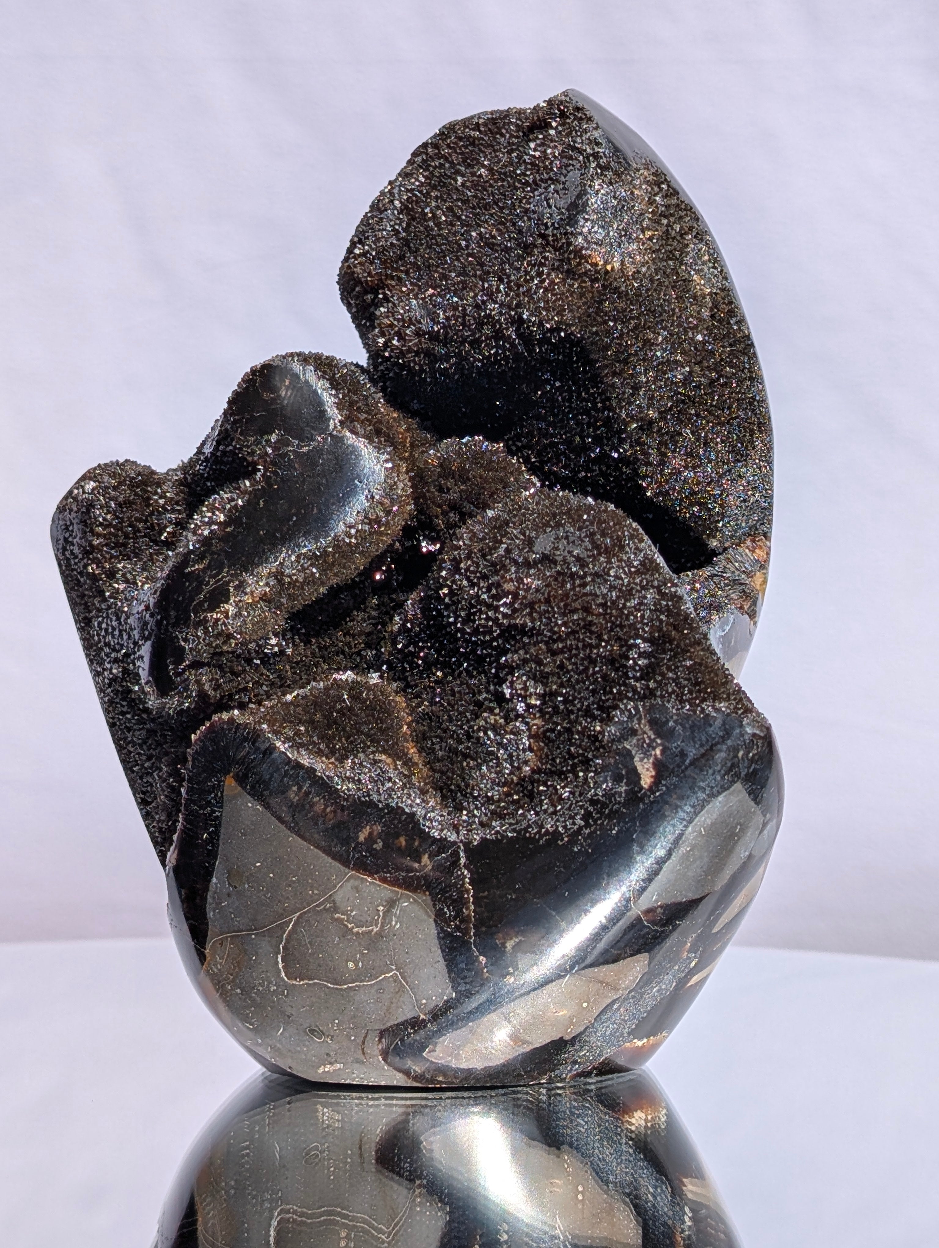 Septarian Dragon Egg C