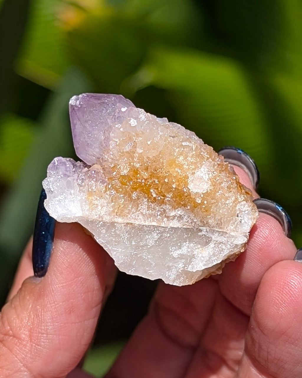 Petite Spirit Quartz - Opt. C