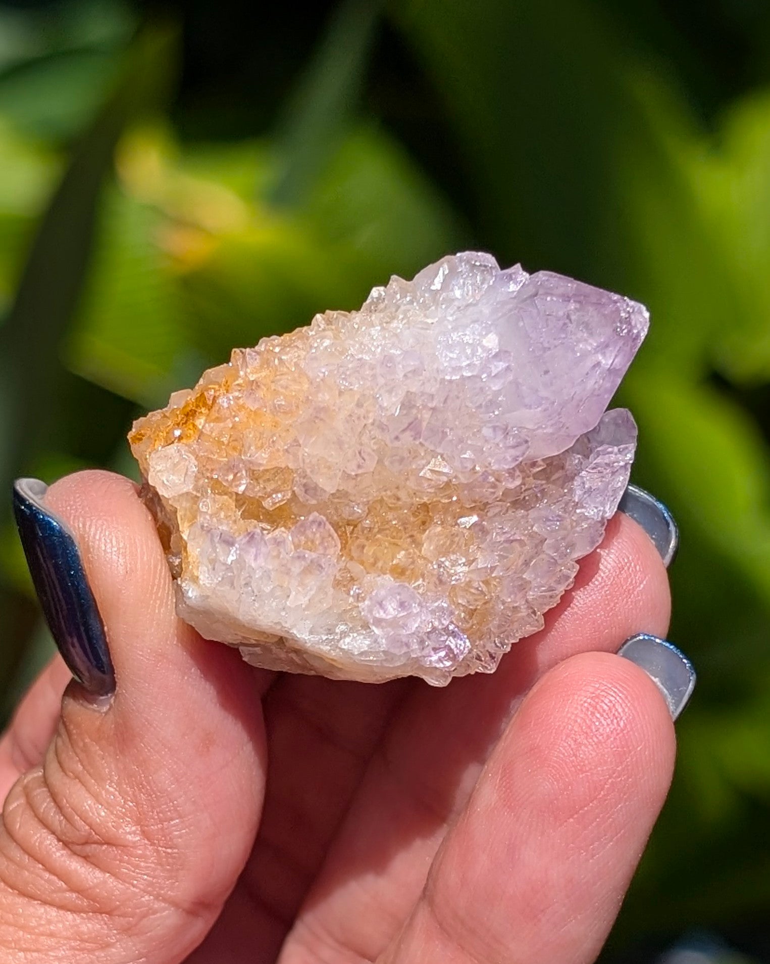 Petite Spirit Quartz - Opt. C