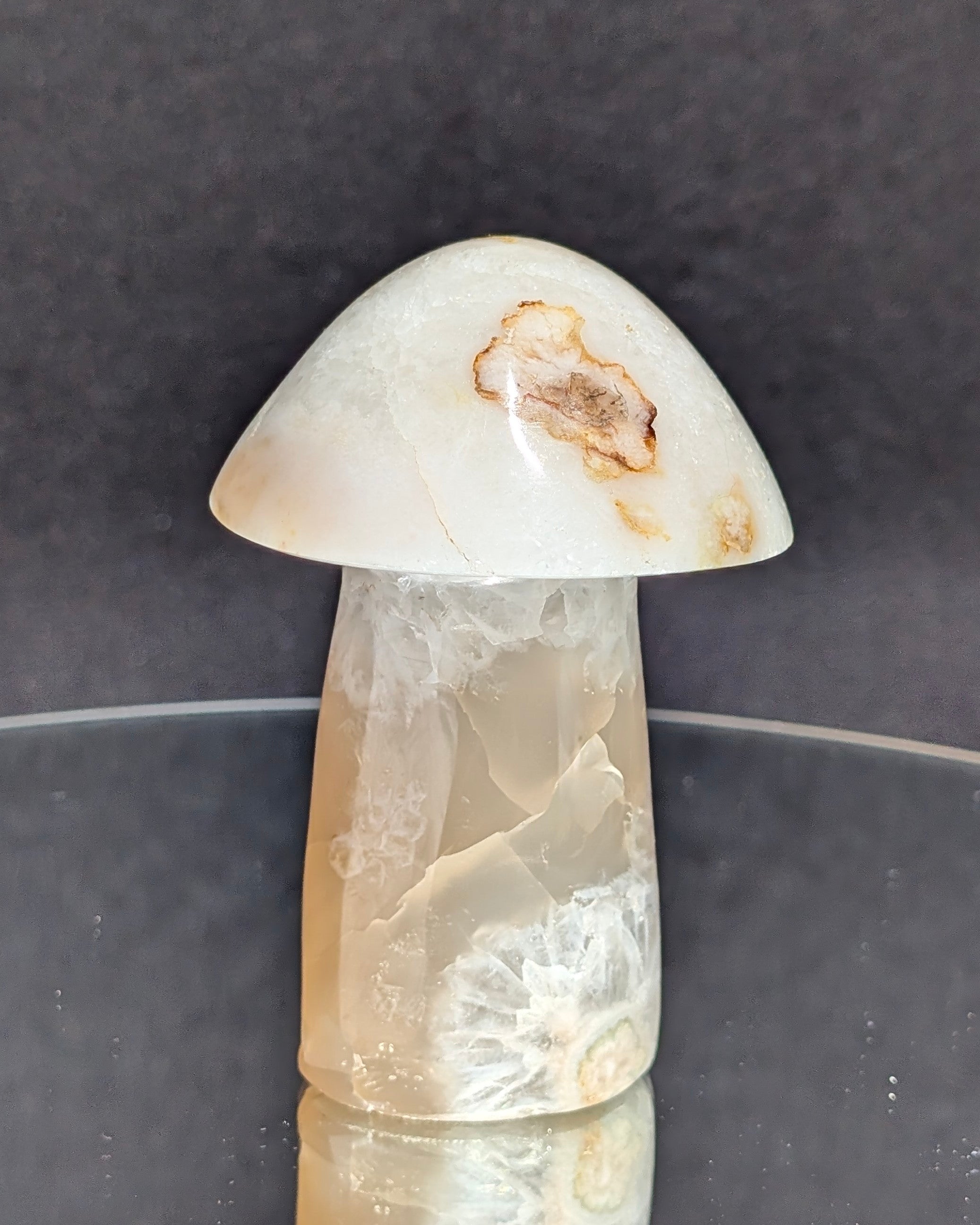 Flower Agate Mushroom E