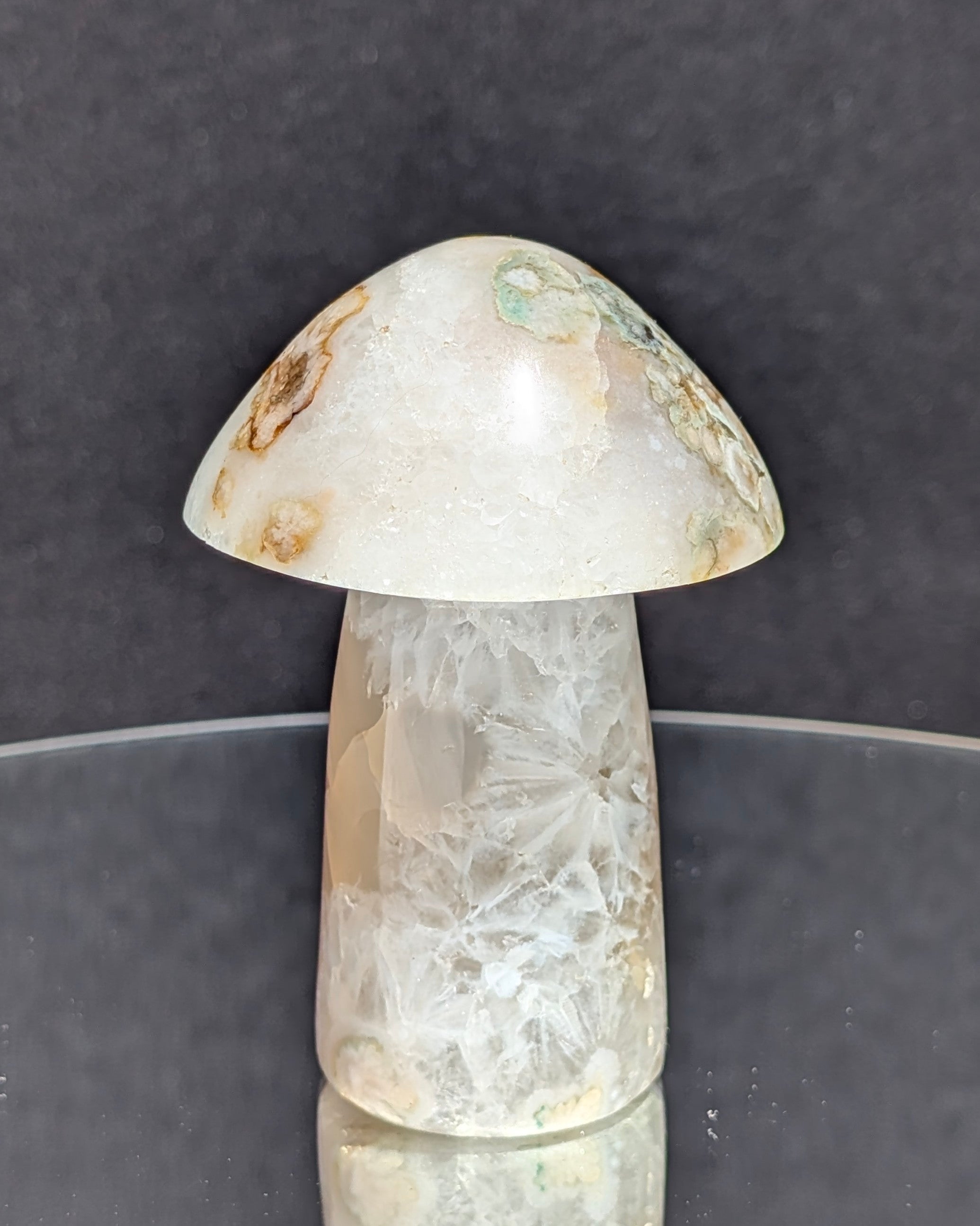 Flower Agate Mushroom E