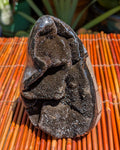 Septarian Dragon Egg B