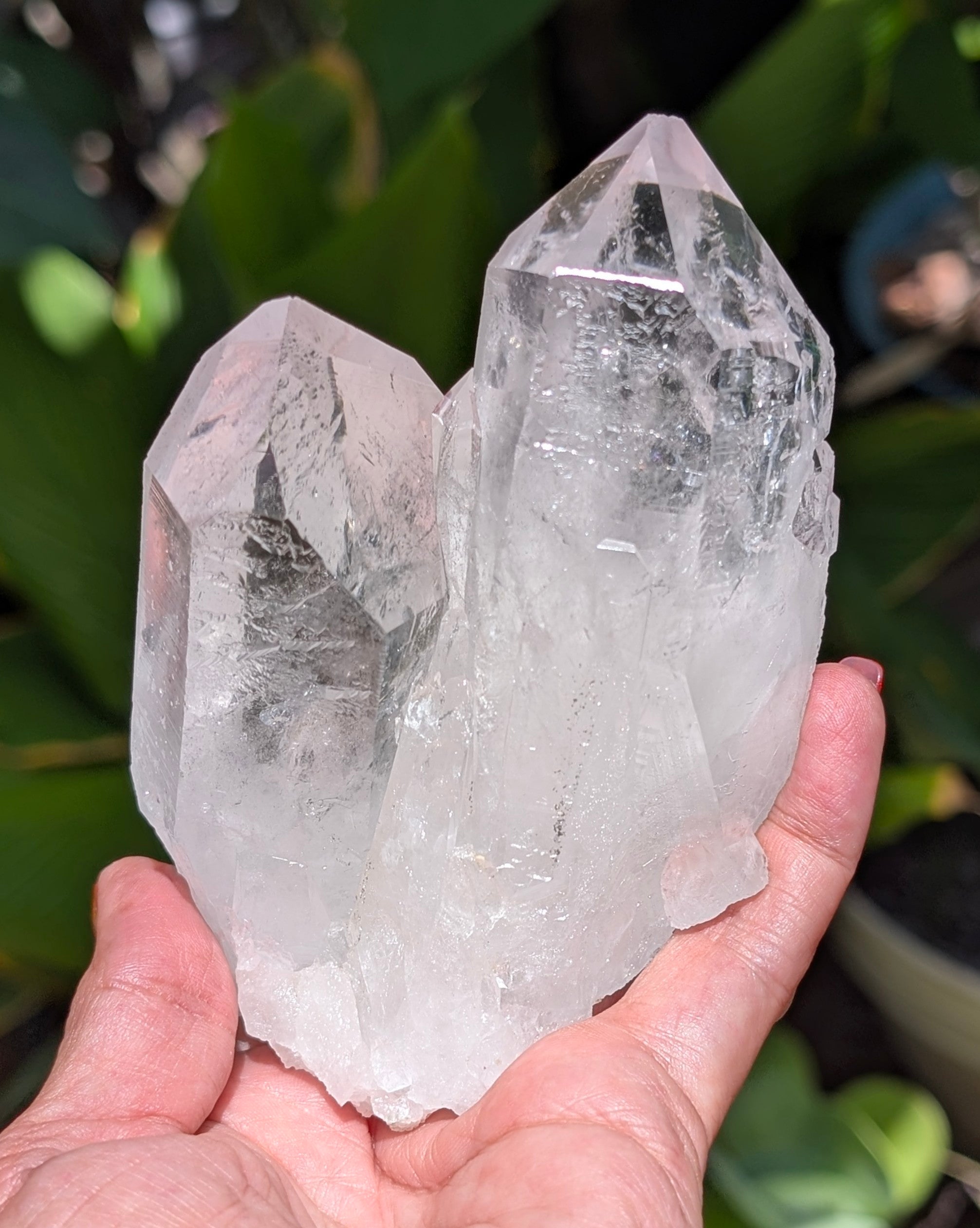 Gorgeous Clear Quartz - Opt. A