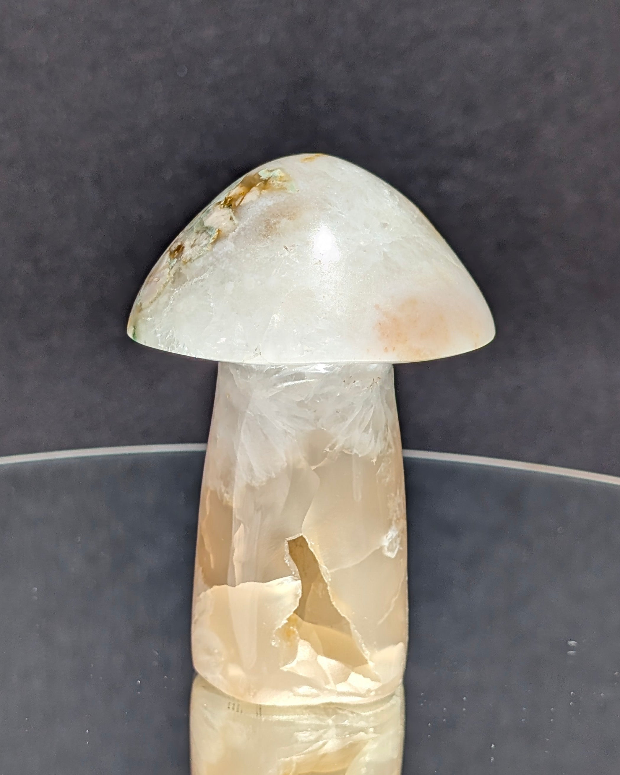 Flower Agate Mushroom E
