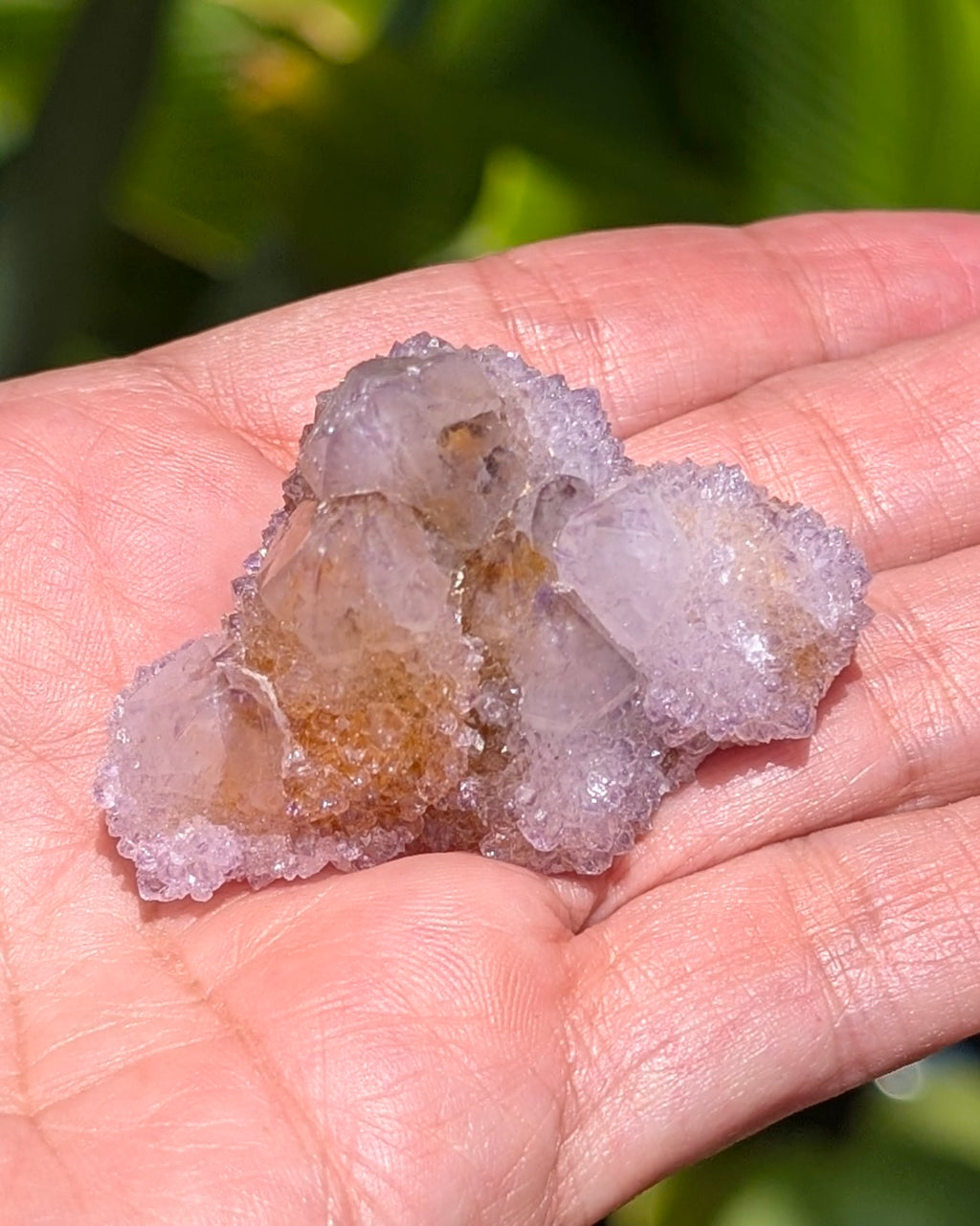 Petit Spirit Quartz - Opt. B