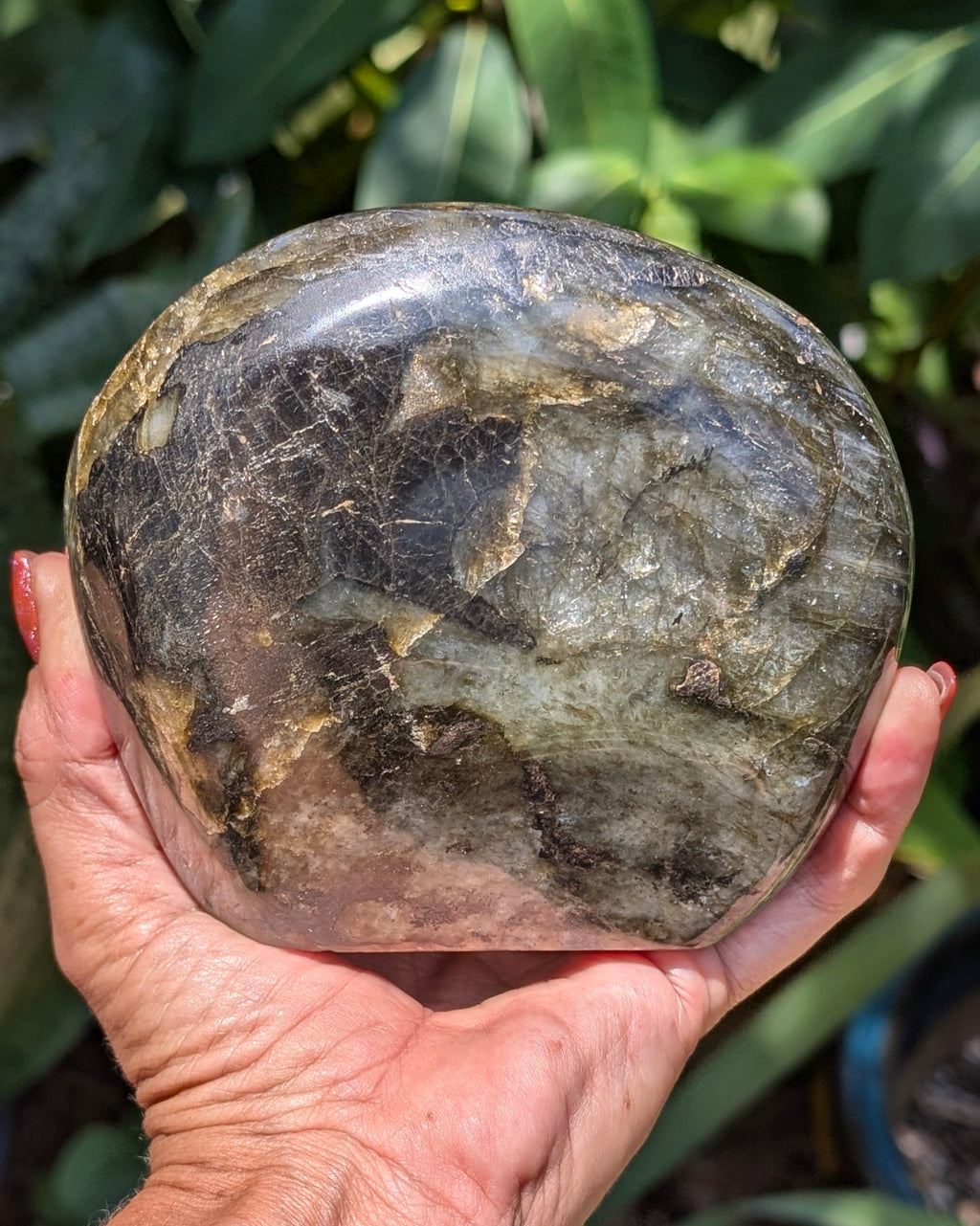 Flashy Blue Labradorite Freeform - Opt. D