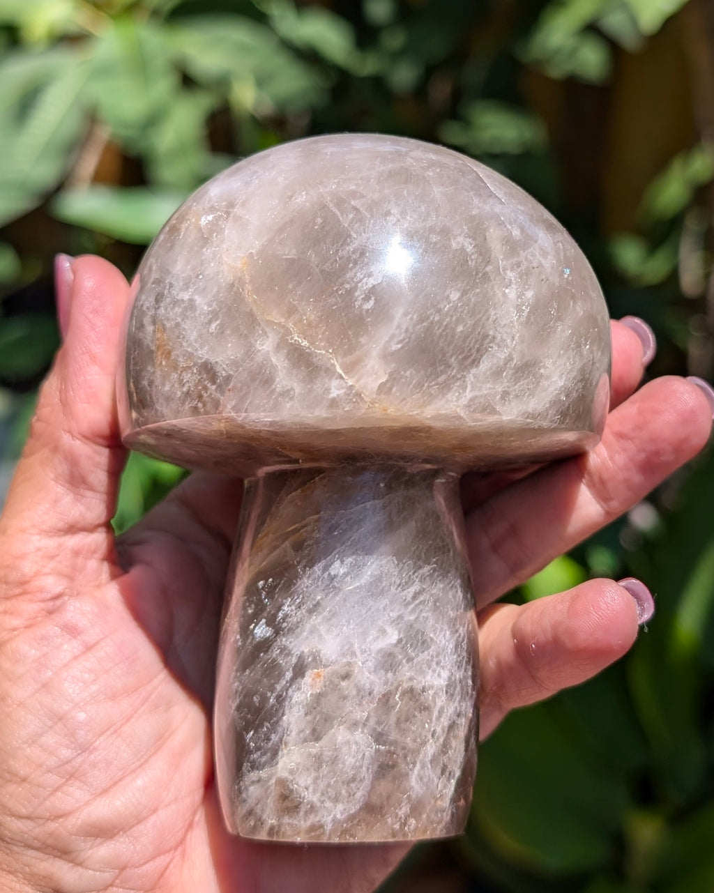 Smokey Quartz Mushroom A