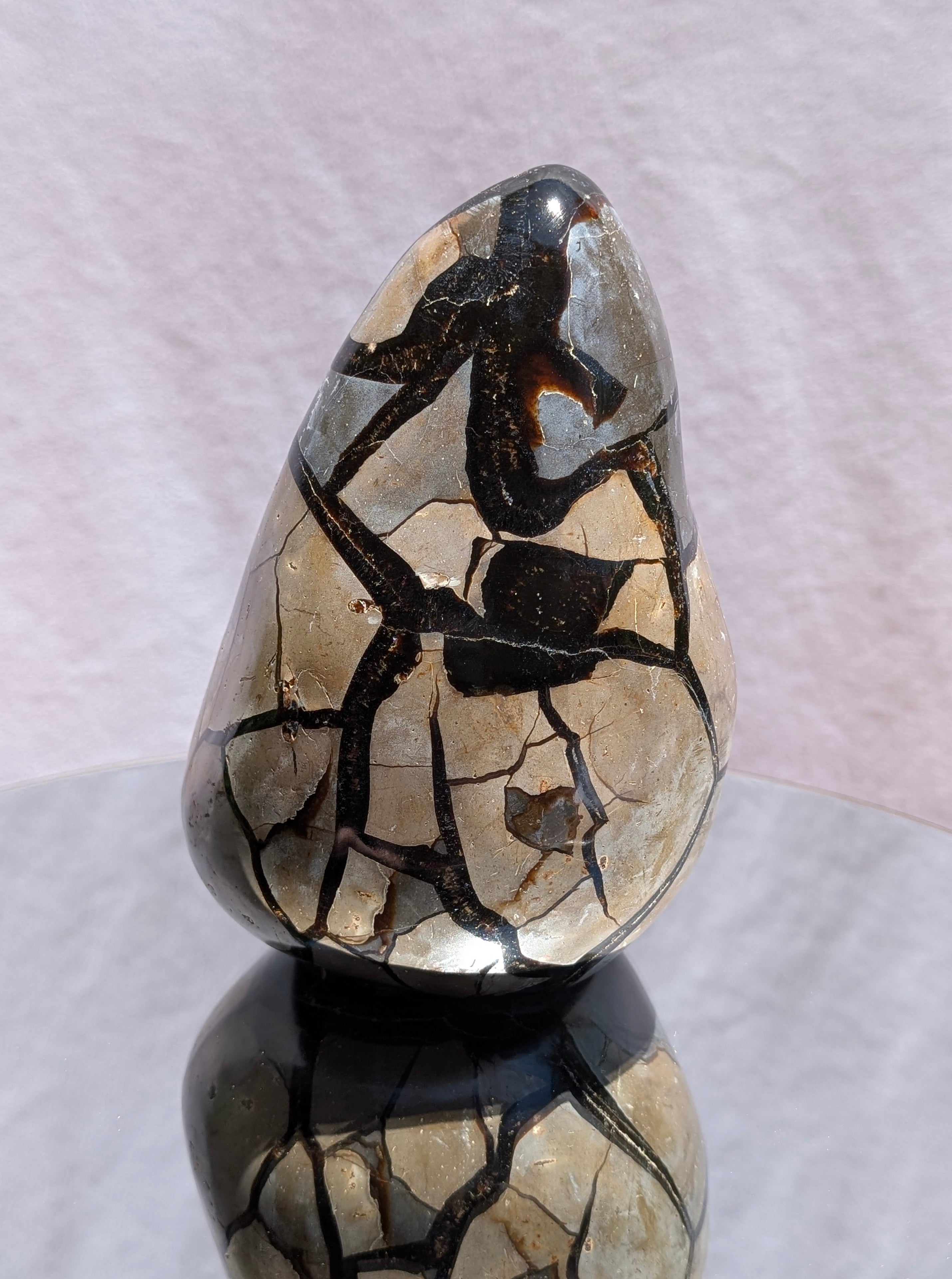 Septarian Dragon Egg B