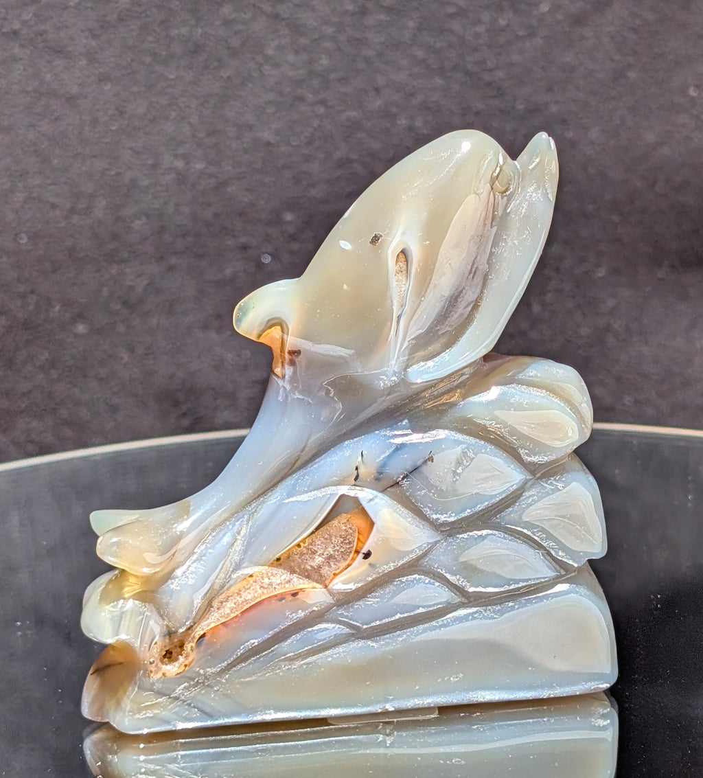 Agate Druzy Dolphin C