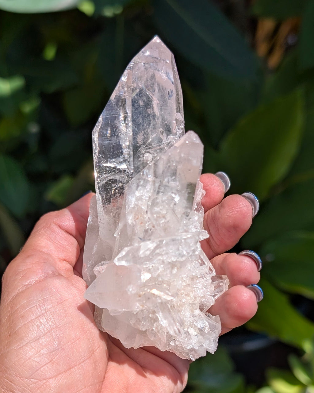 Gorgeous Brazilian Clear Quartz Cluster - Opt. B