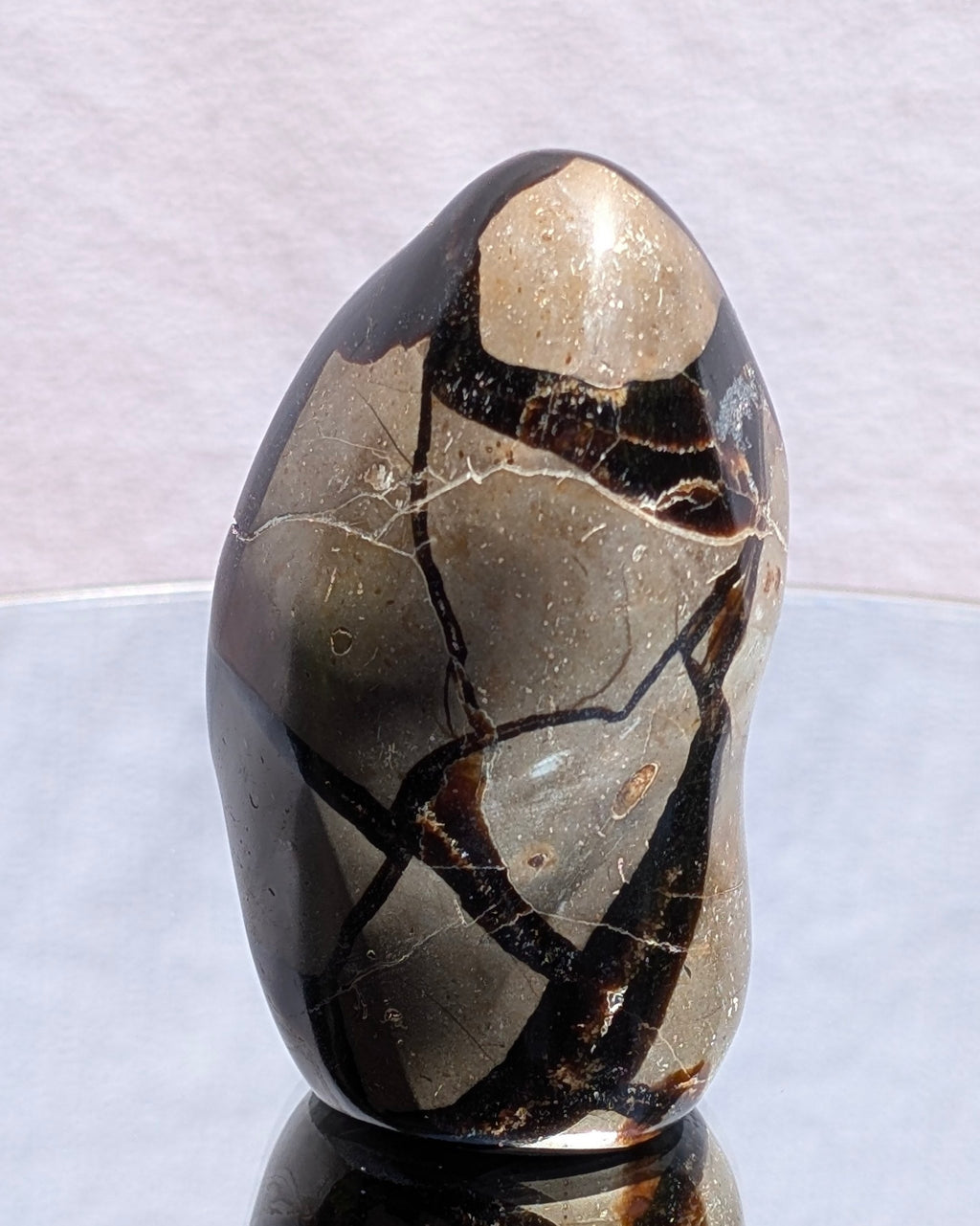 Septarian Dragon Egg E