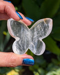 Clear Fluorite 3D Butterfly - Opt. W