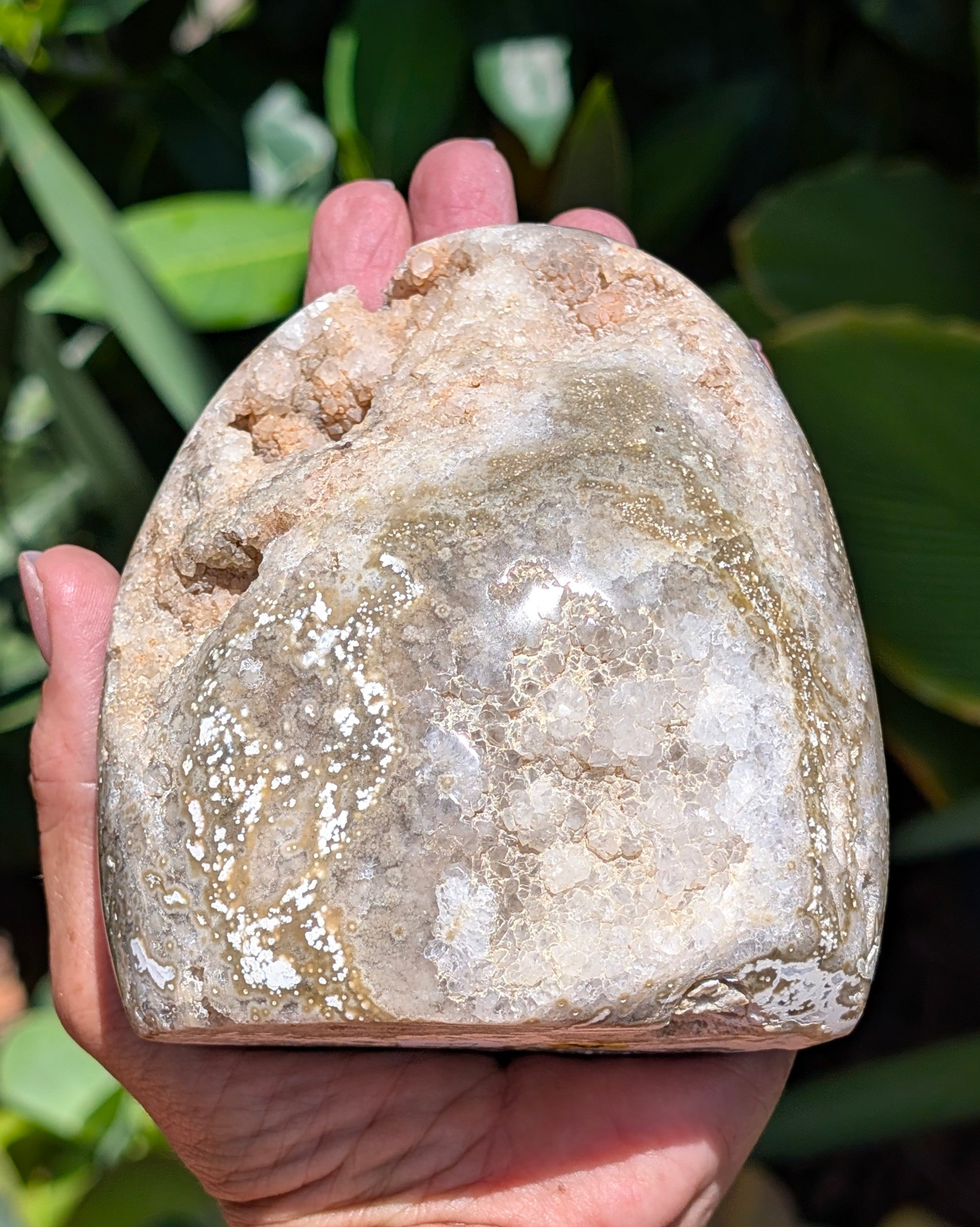 Ocean Jasper A