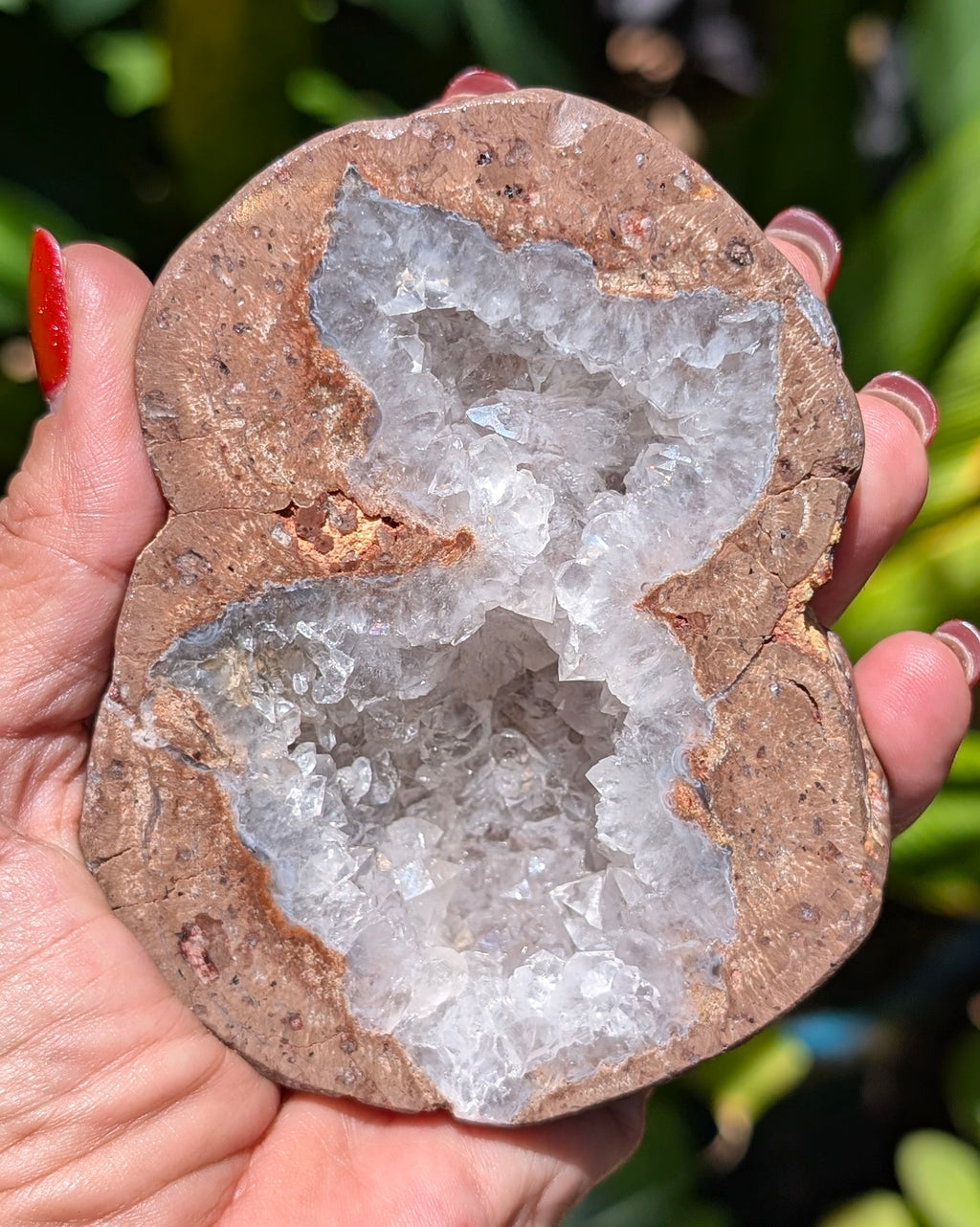 Fluorescent Thunderegg Geode Opt. A