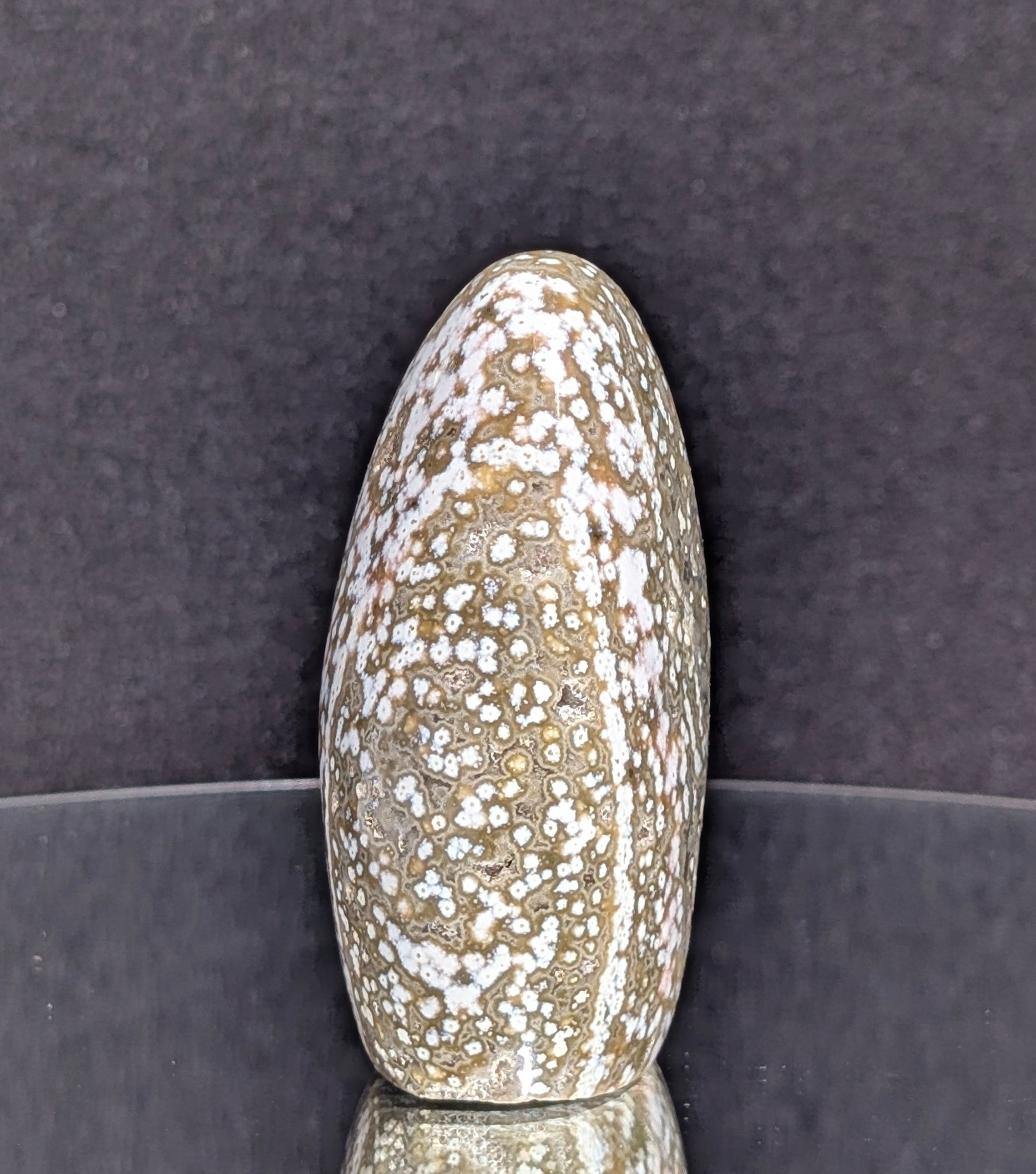 Ocean Jasper B