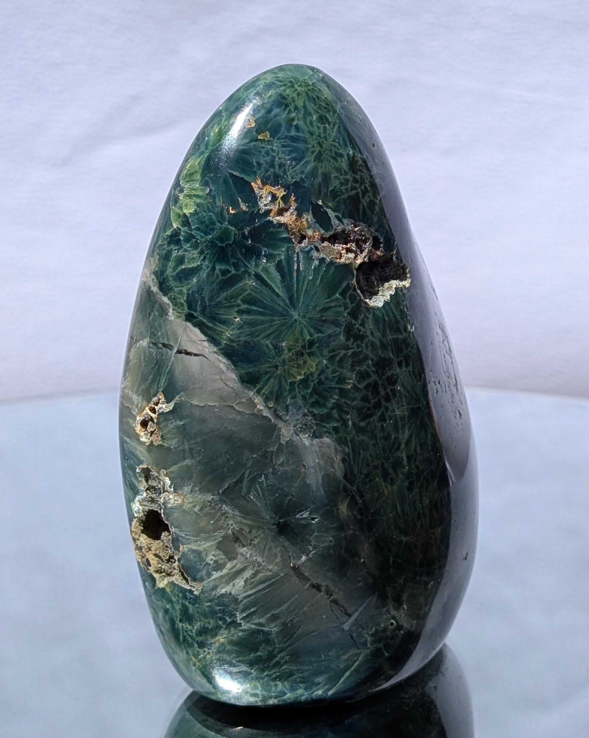 Ocean Jasper E