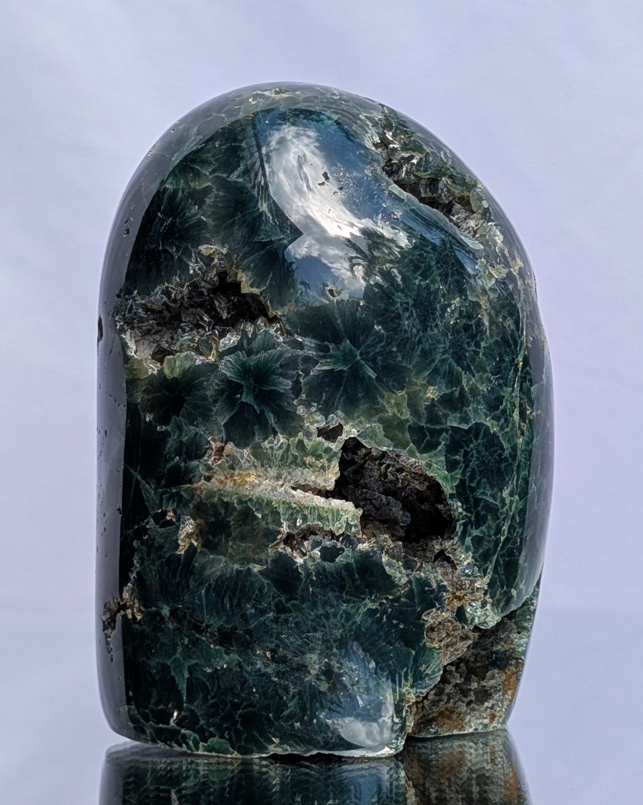 Ocean Jasper D