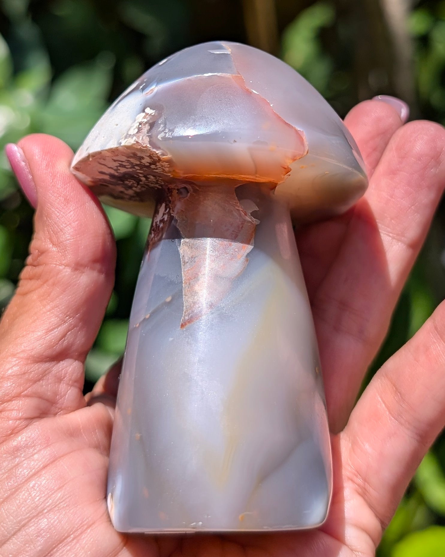 Orca Agate Mushroom I