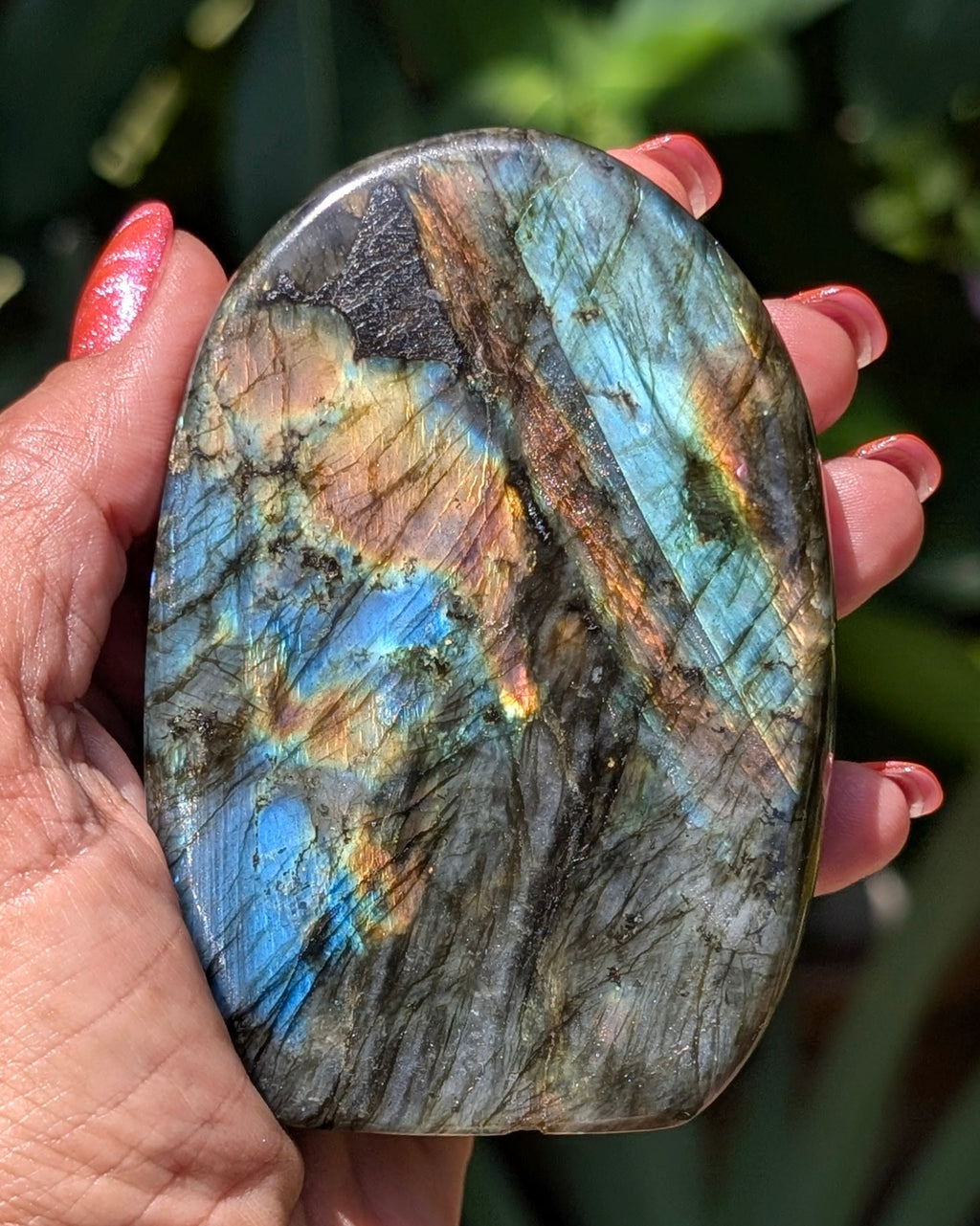 Spectrolite Labradorite Freeform - Opt. G