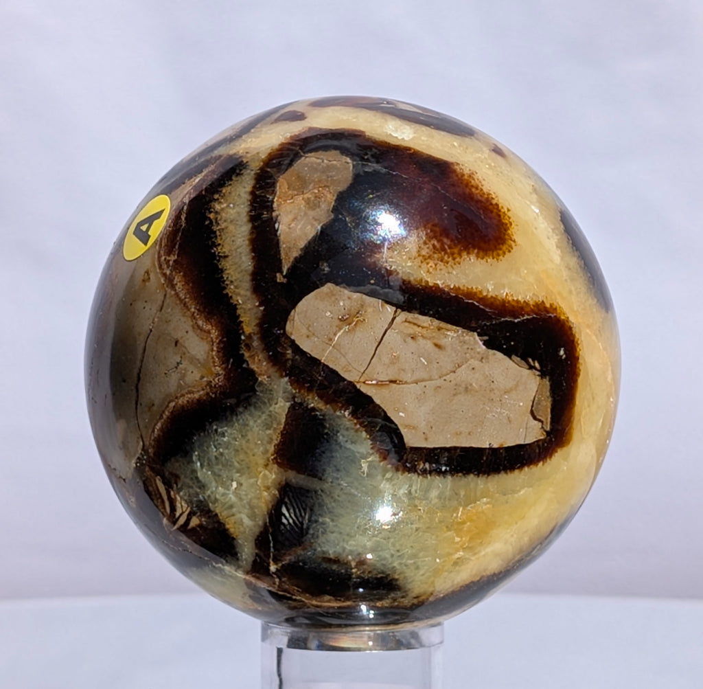 Septarian Dragon Stone Sphere A