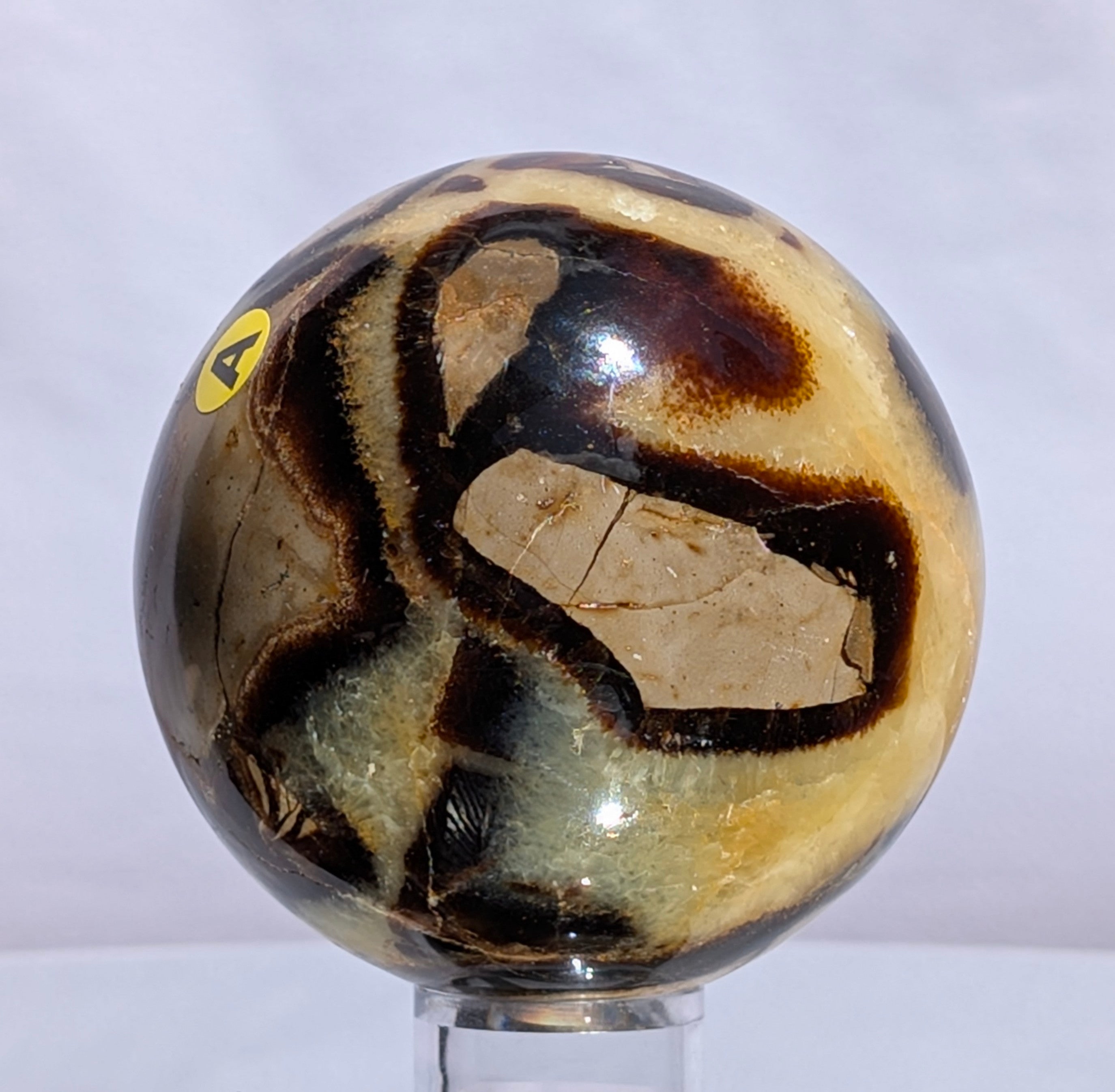 Septarian Dragon Stone Sphere A