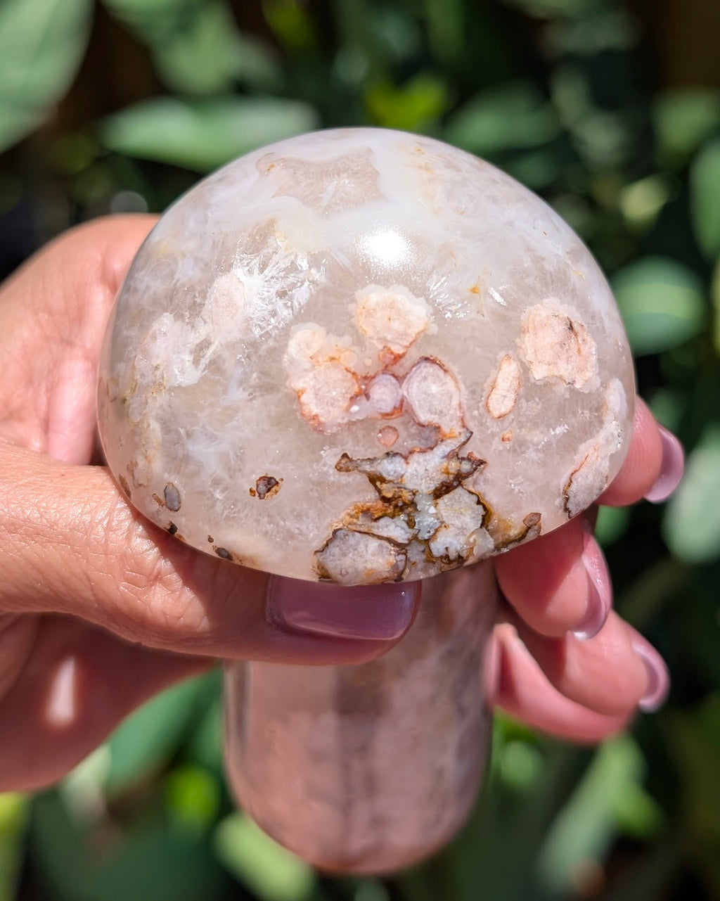 Flower Agate Mushroom F