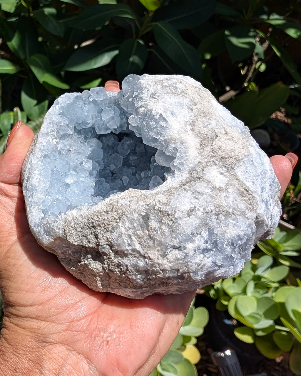 Heavenly Blue Celestite Geode - Opt. I