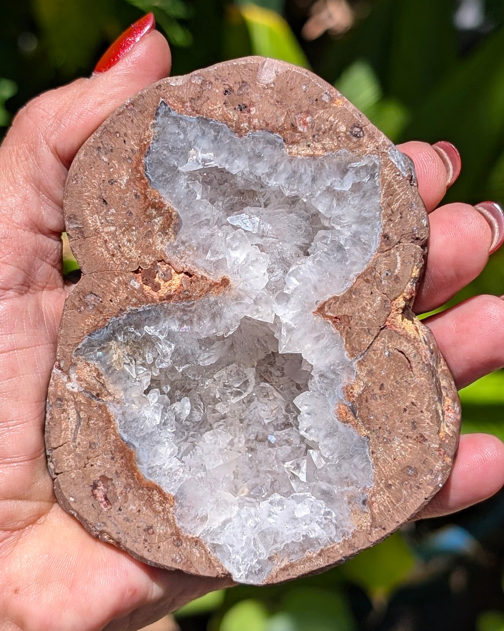 Fluorescent Thunderegg Geode Opt. A