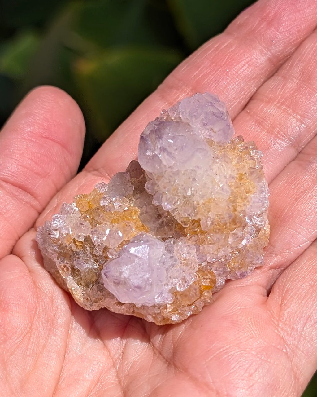 Petite Spirit Quartz - Opt. A