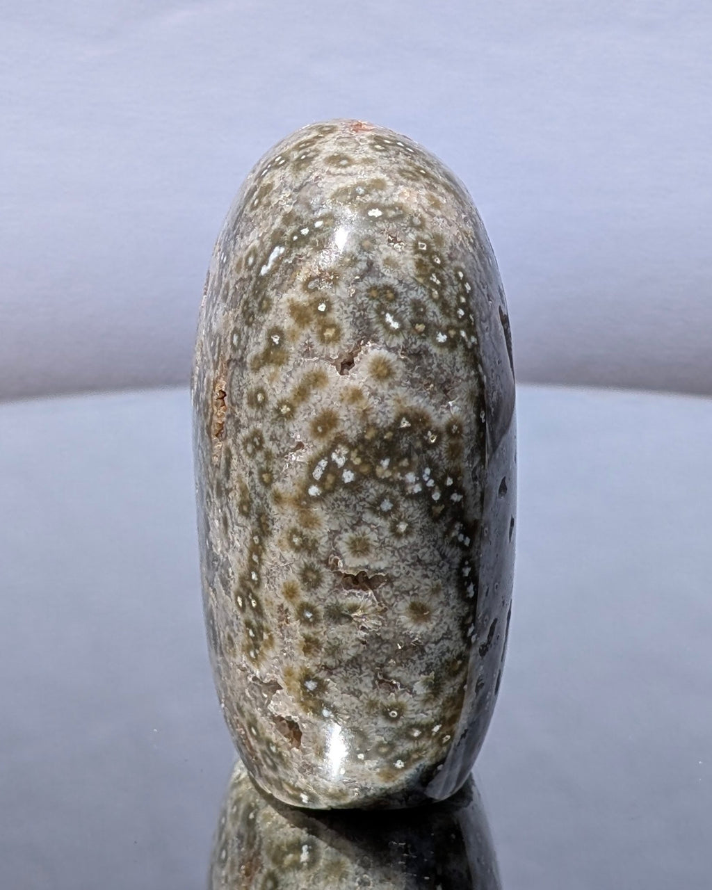 Ocean Jasper C