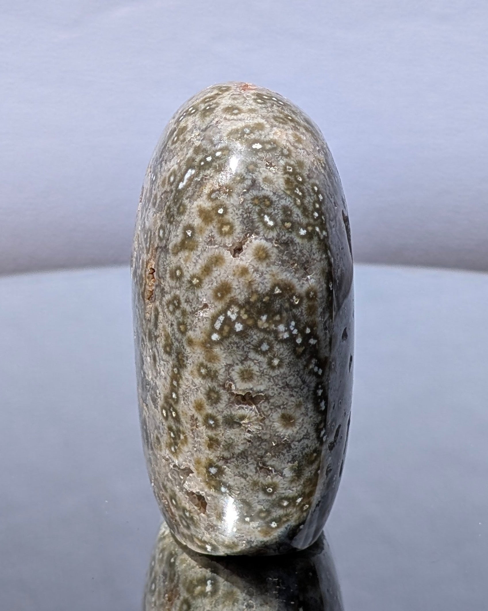 Ocean Jasper C