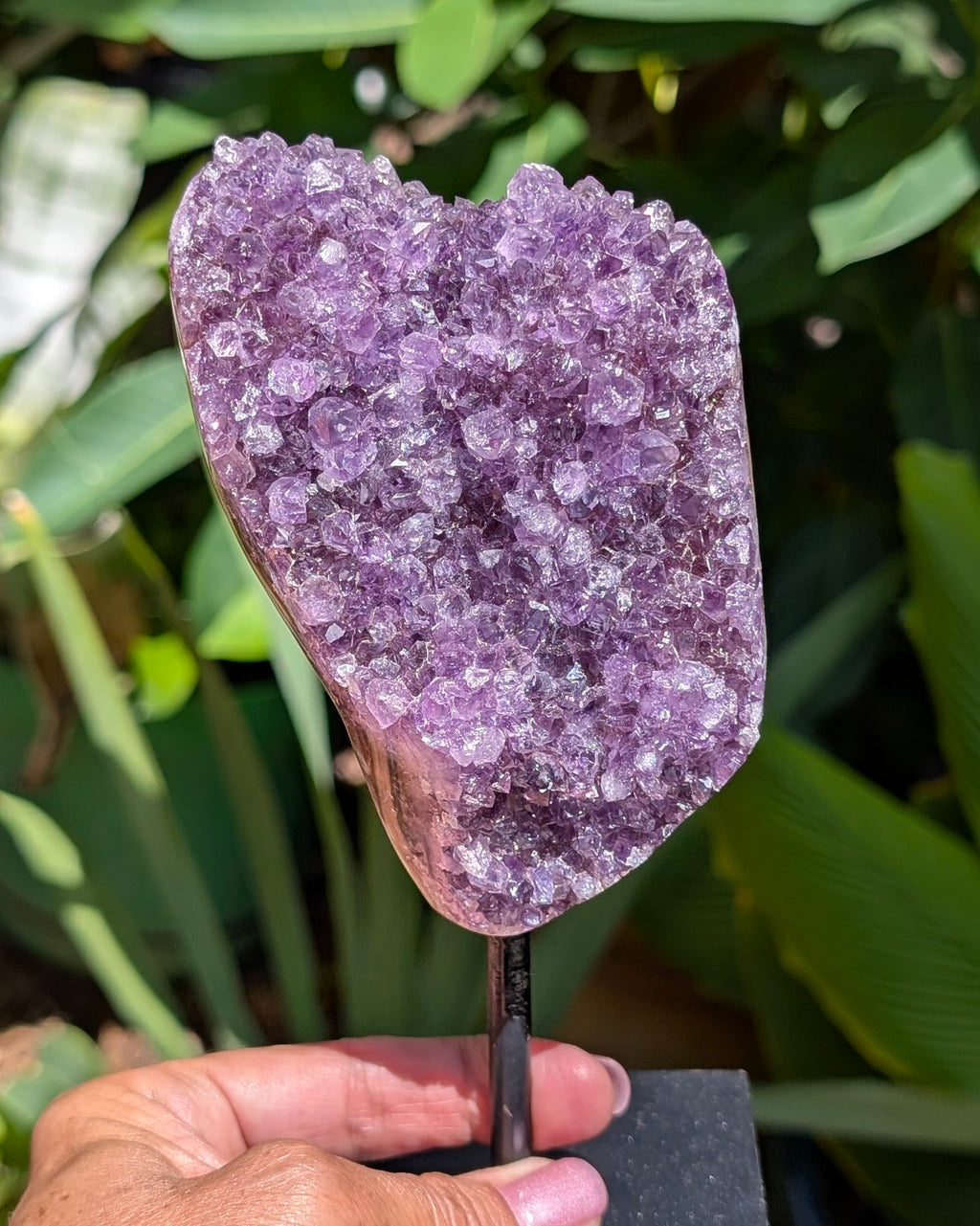 Amethyst Druzy on Stand B