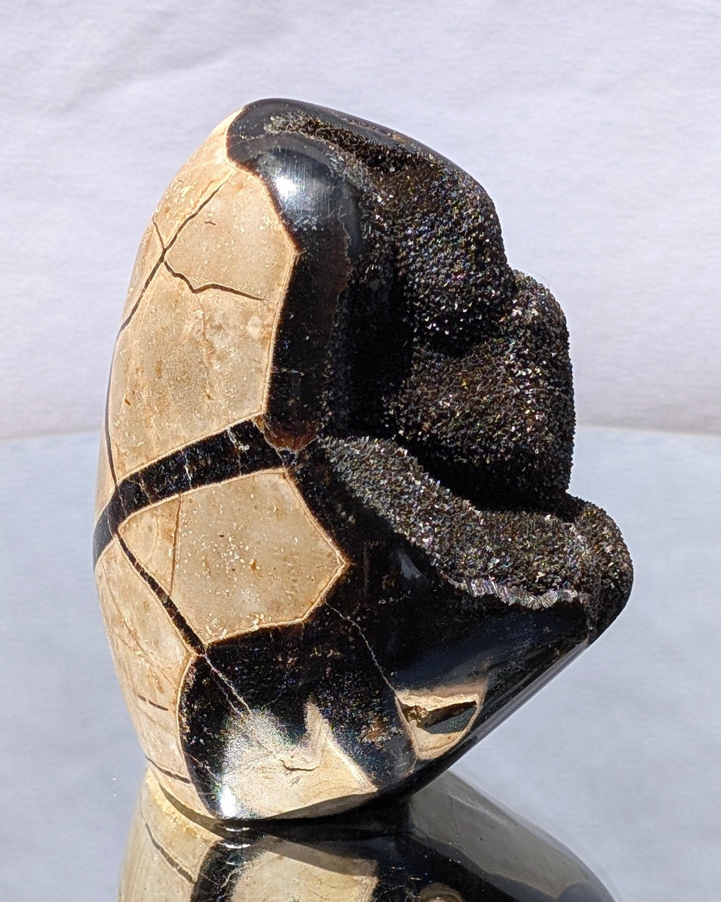 Septarian Dragon Egg D