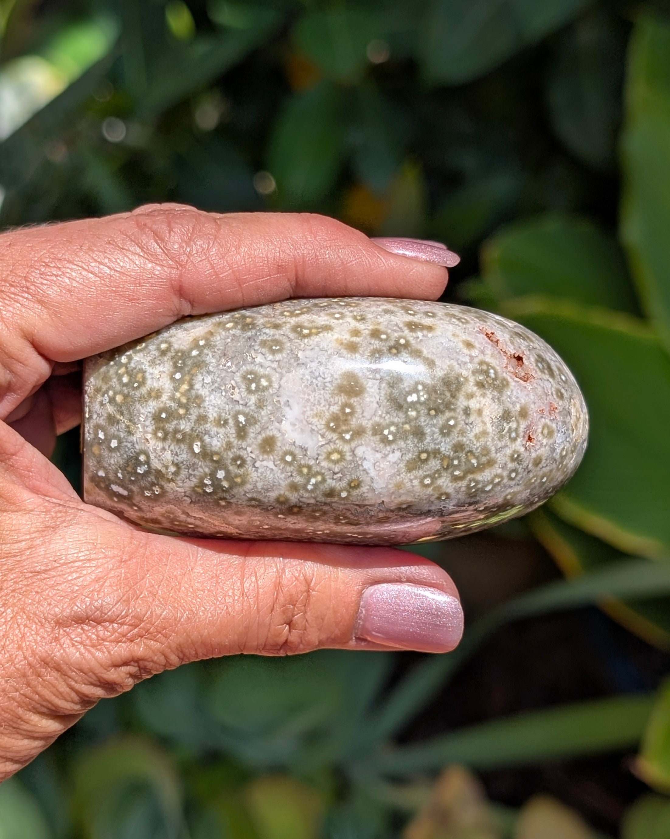 Ocean Jasper C