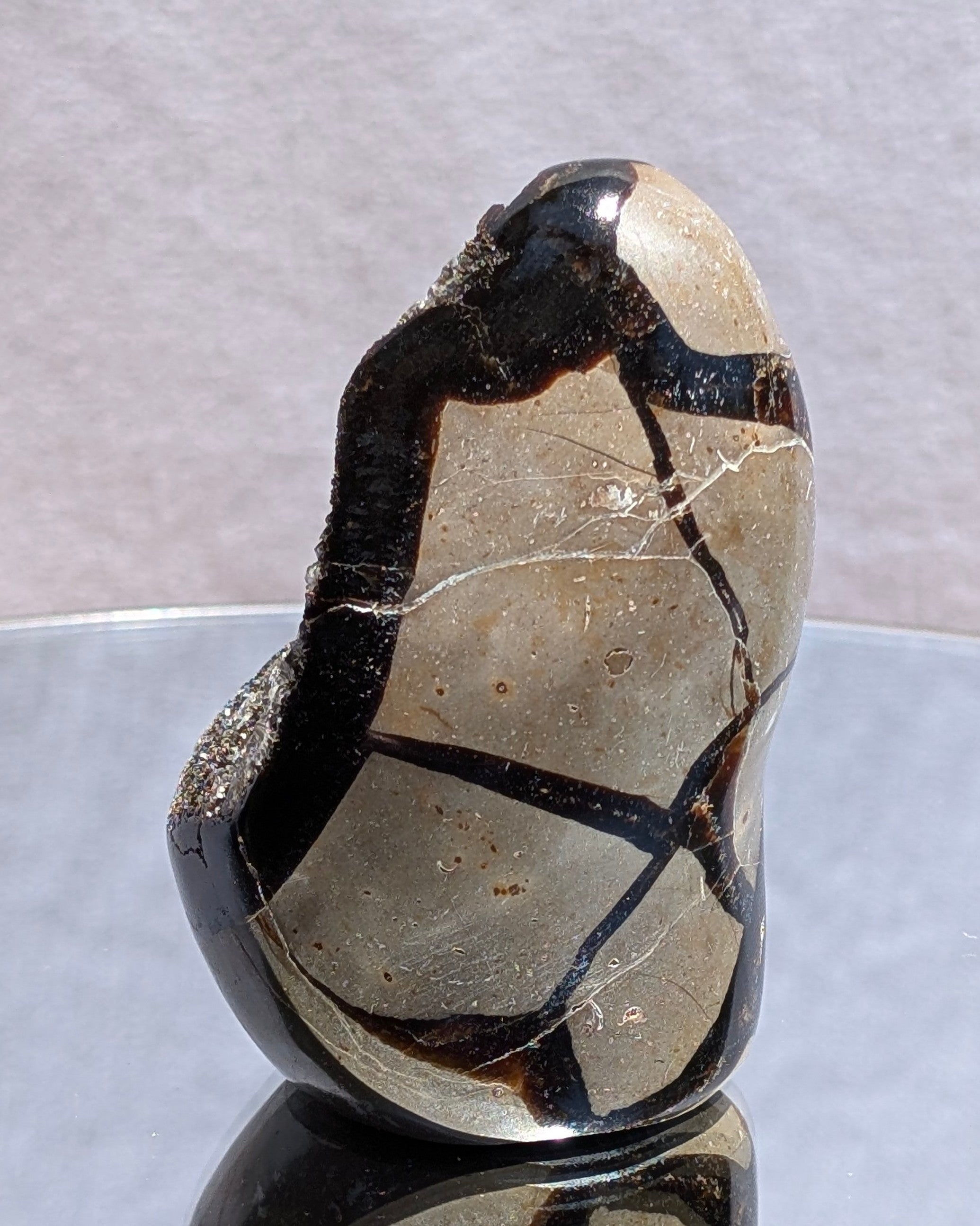 Septarian Dragon Egg E