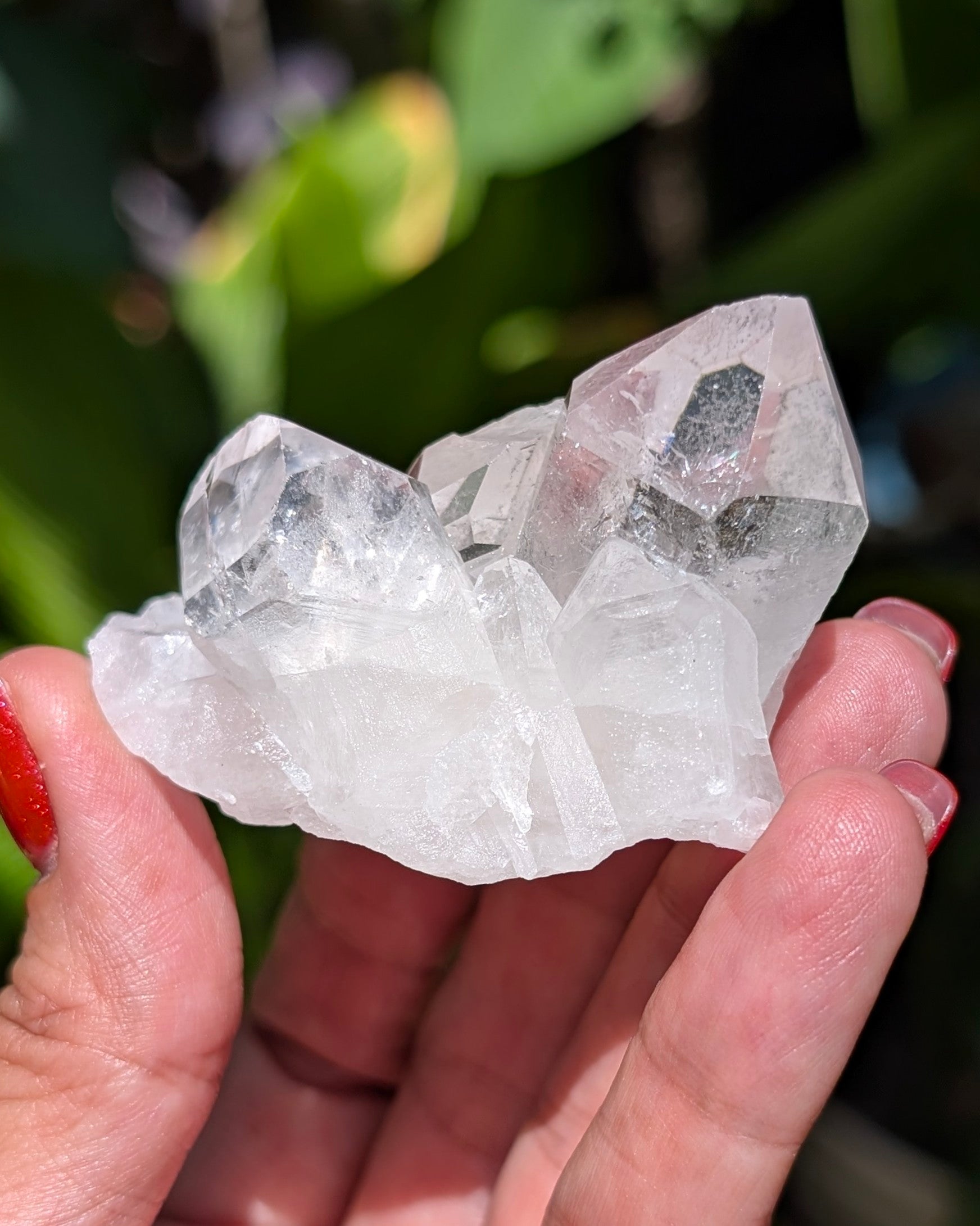 Amazing Clear Quartz Cluster - Opt. D