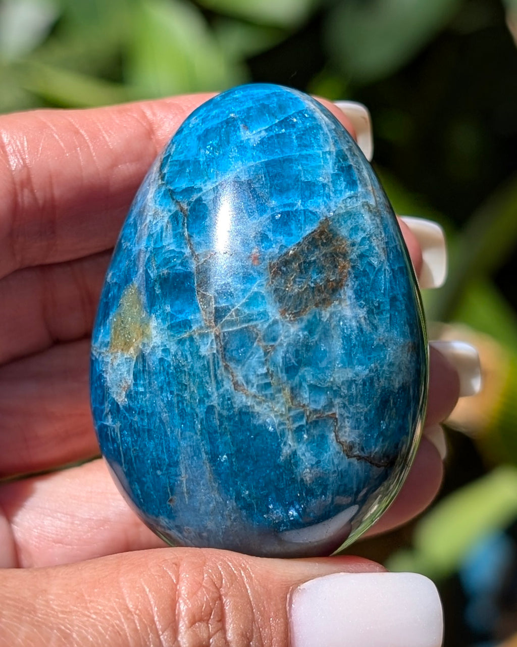 Apatite Egg - Opt. I