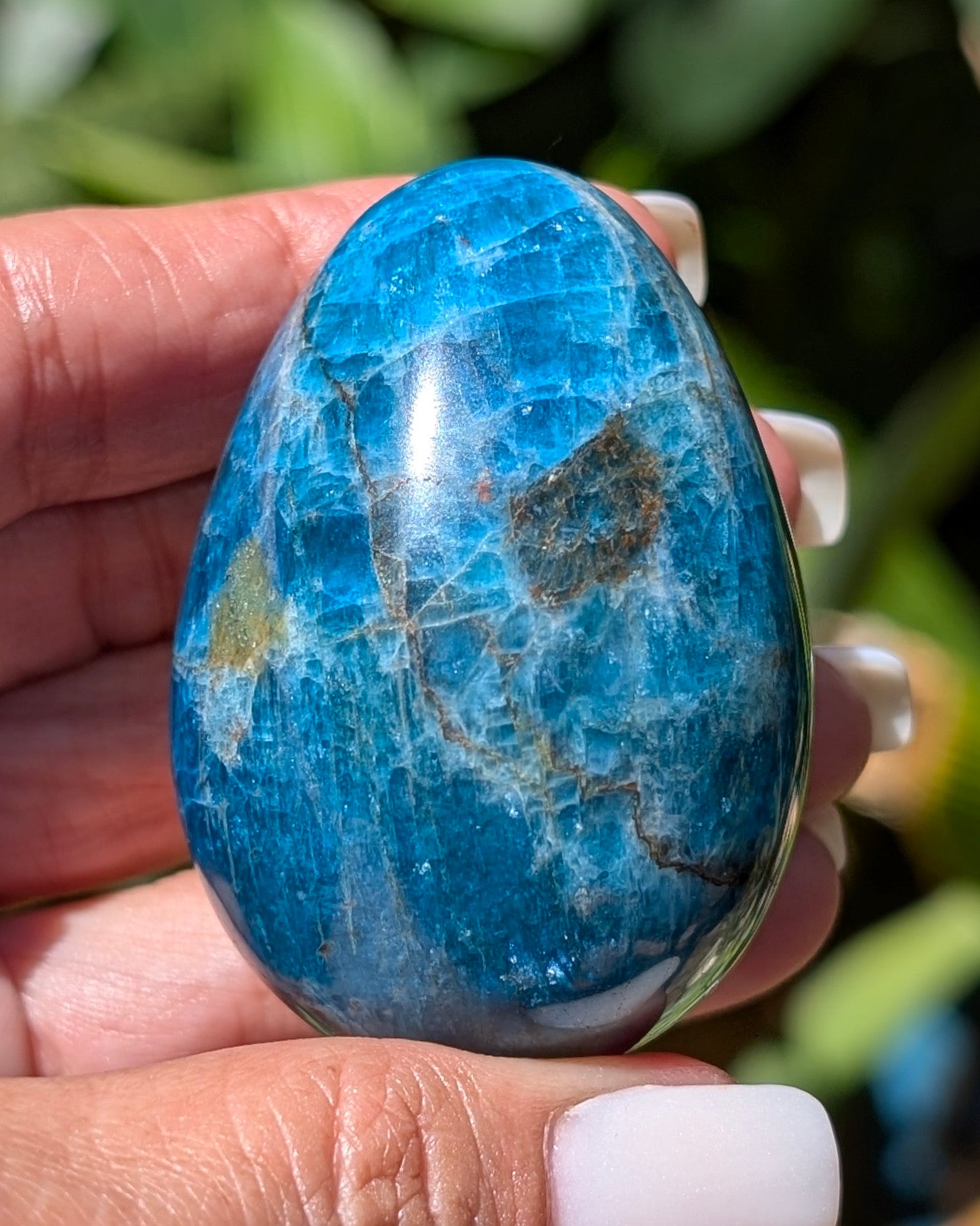 Apatite Egg - Opt. I