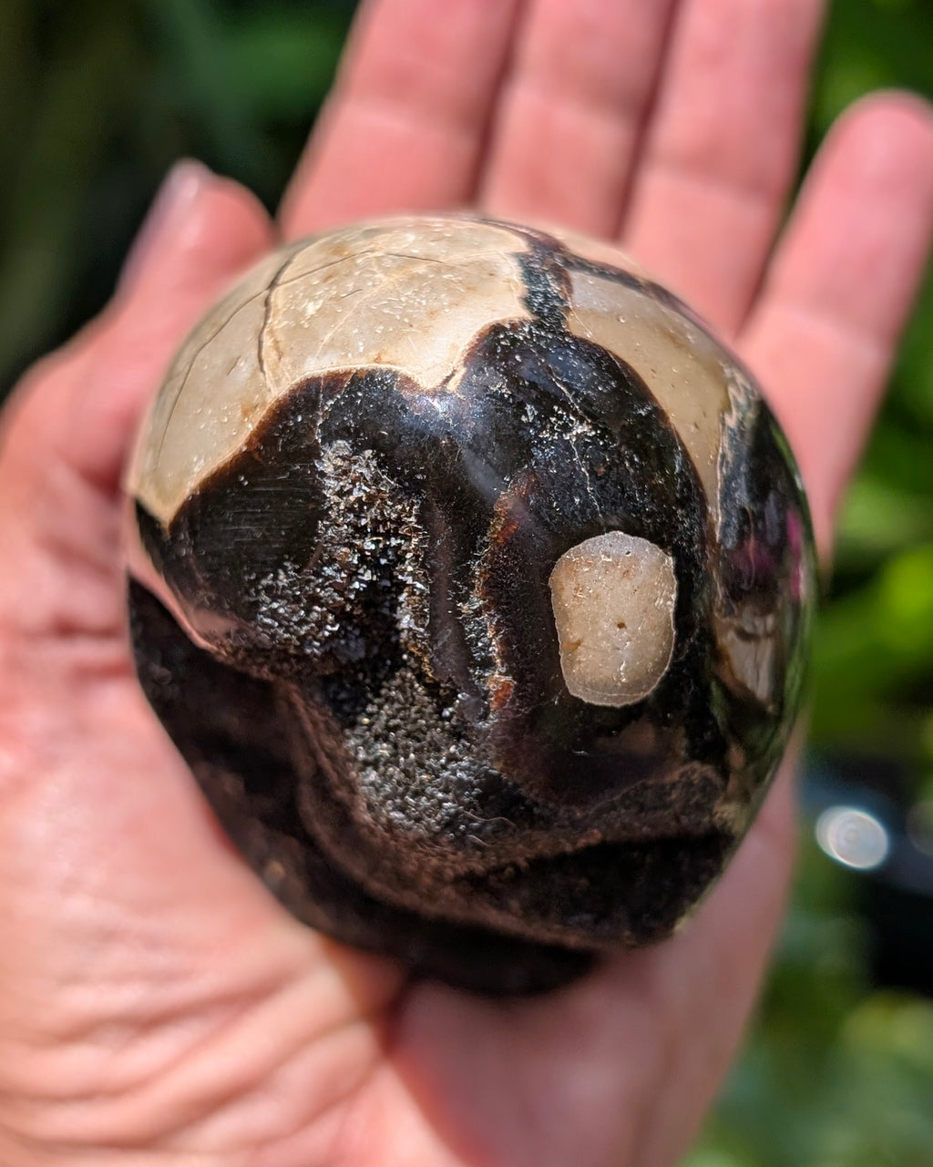 Septarian Dragon Egg D