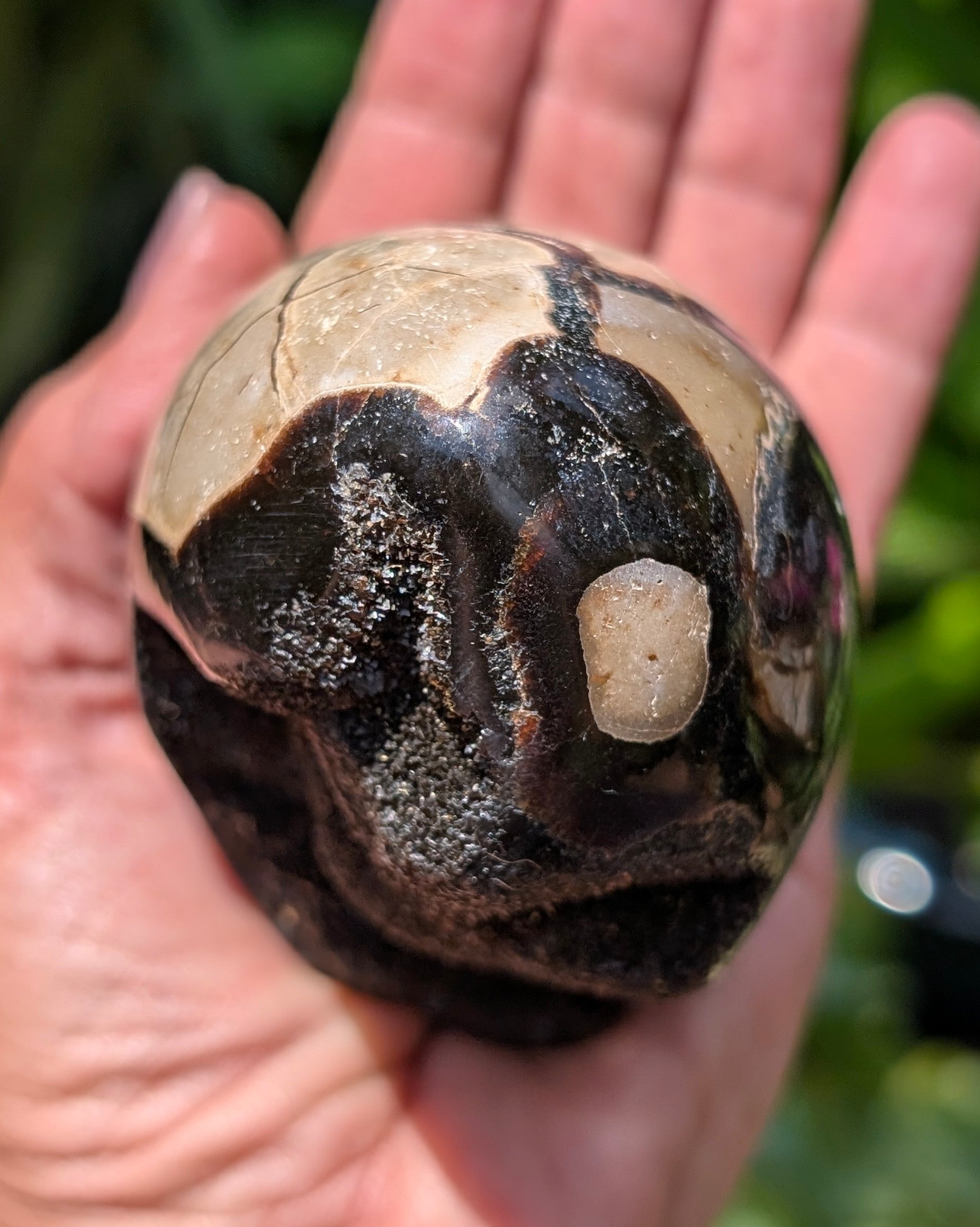 Septarian Dragon Egg D