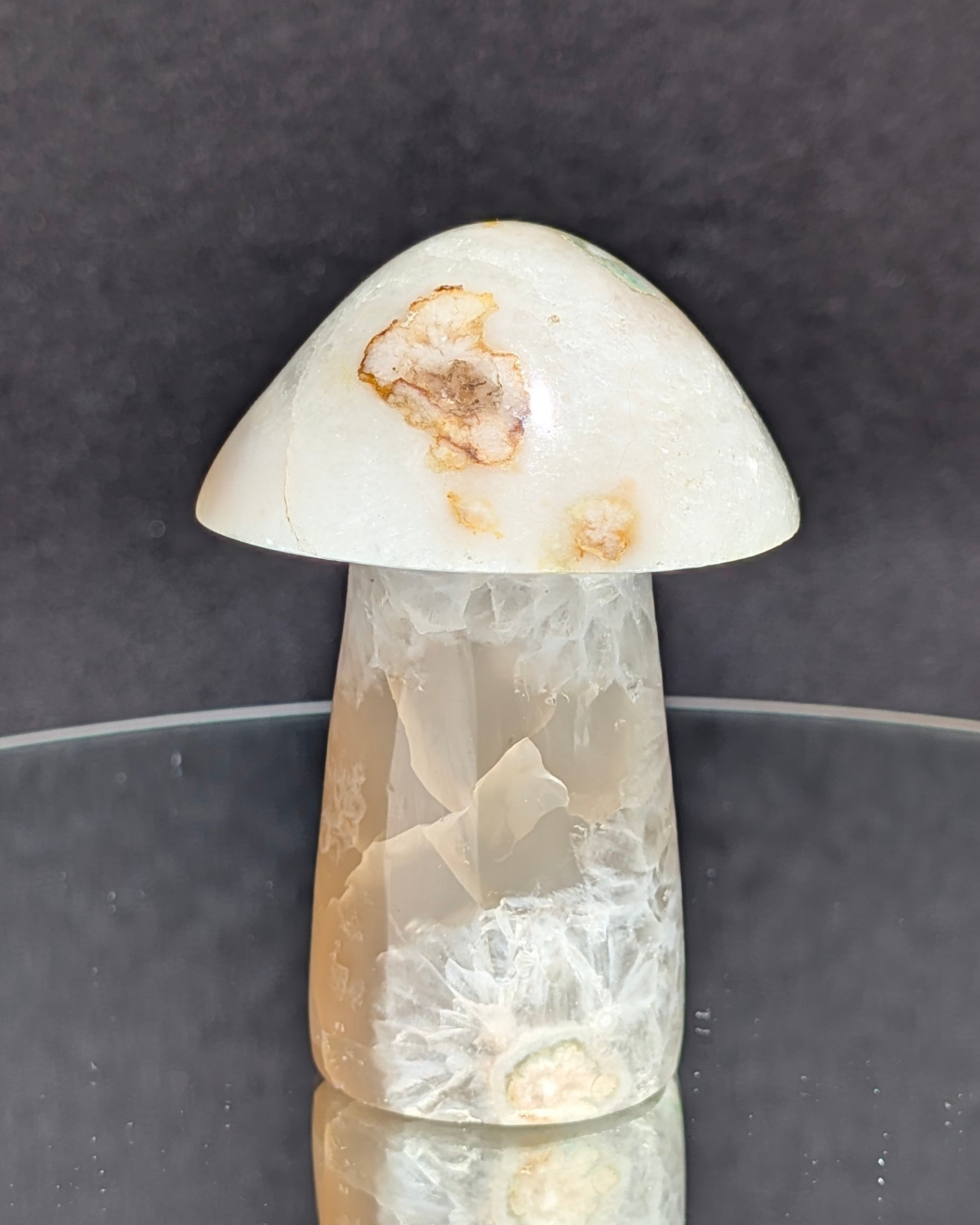 Flower Agate Mushroom E