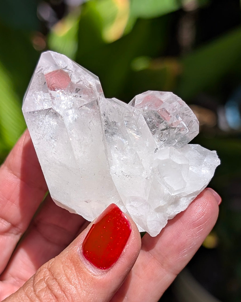 Amazing Clear Quartz Cluster - Opt. D