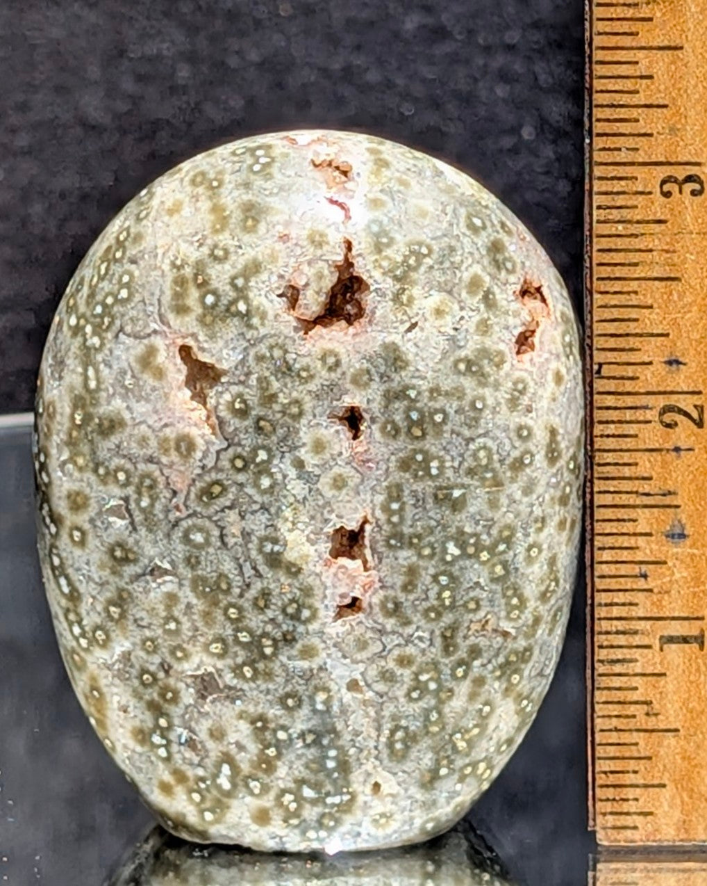 Ocean Jasper C
